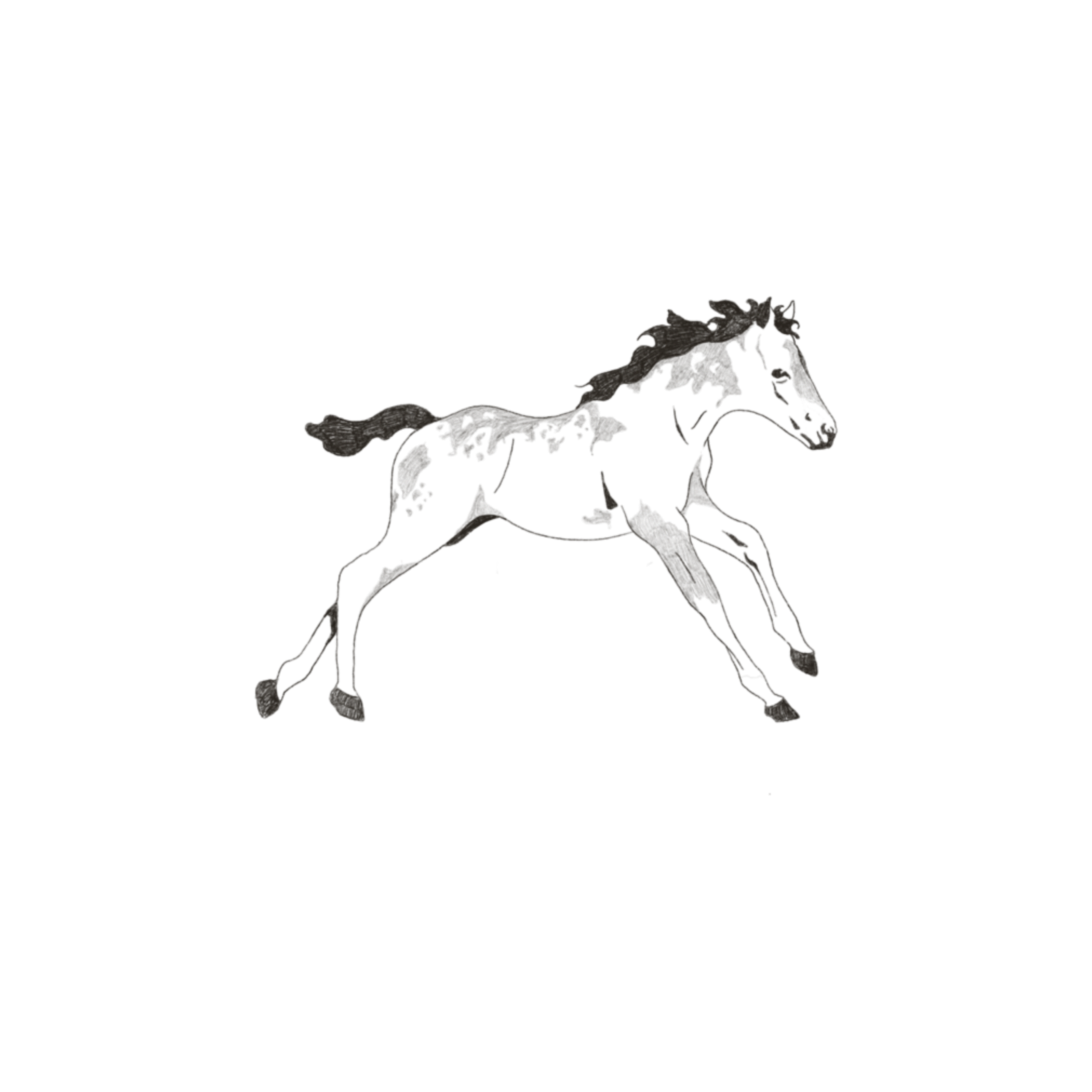 IMG_6091.PNG