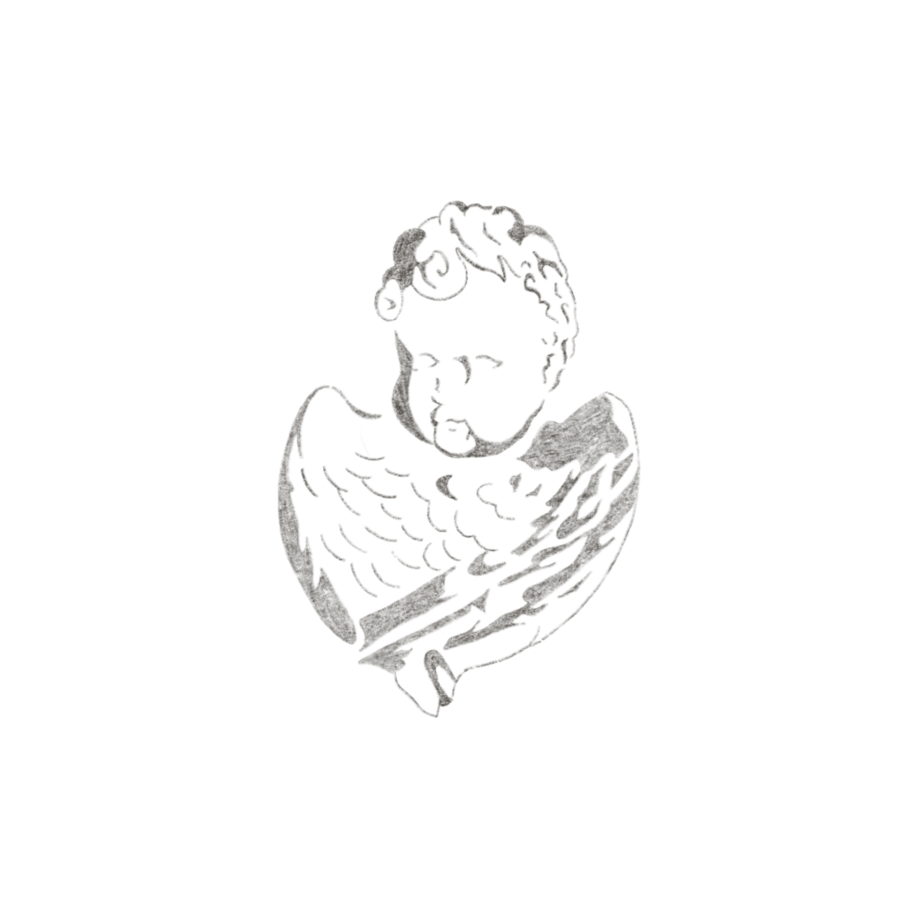 IMG_6004.PNG