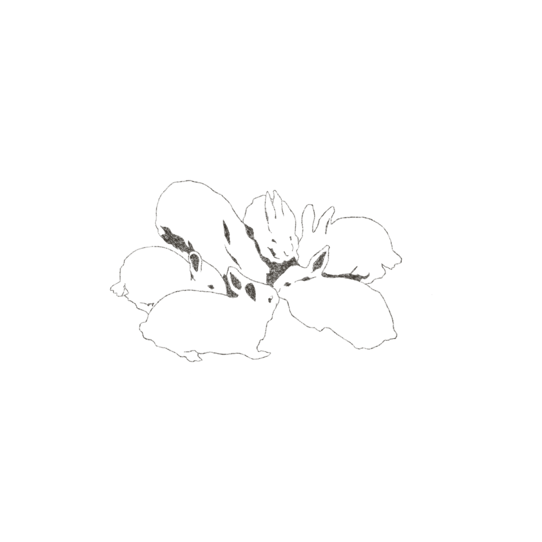 IMG_6009.PNG