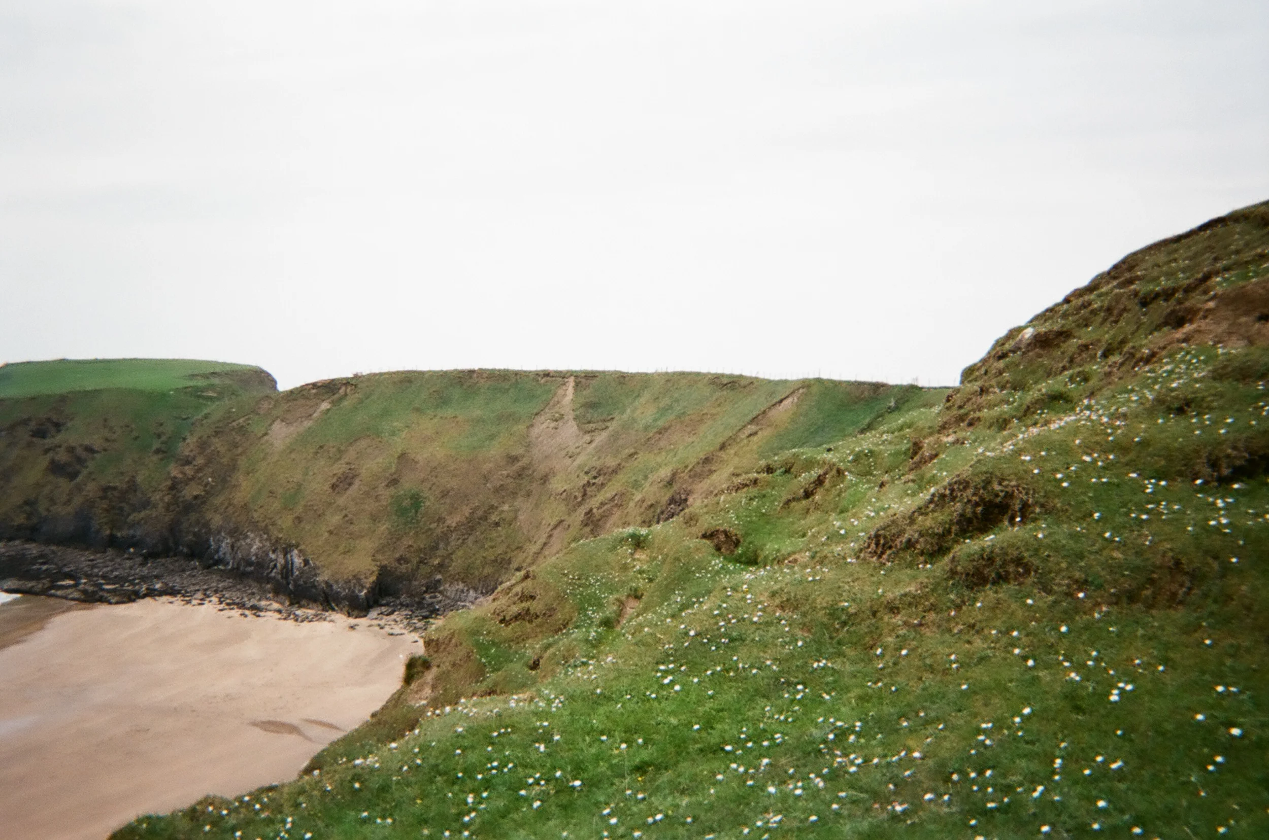  Easily one of the mornings that made me fall in love with Ireland..  all the little daisies, the crystal clear ocean water, white soft sand.&nbsp;  