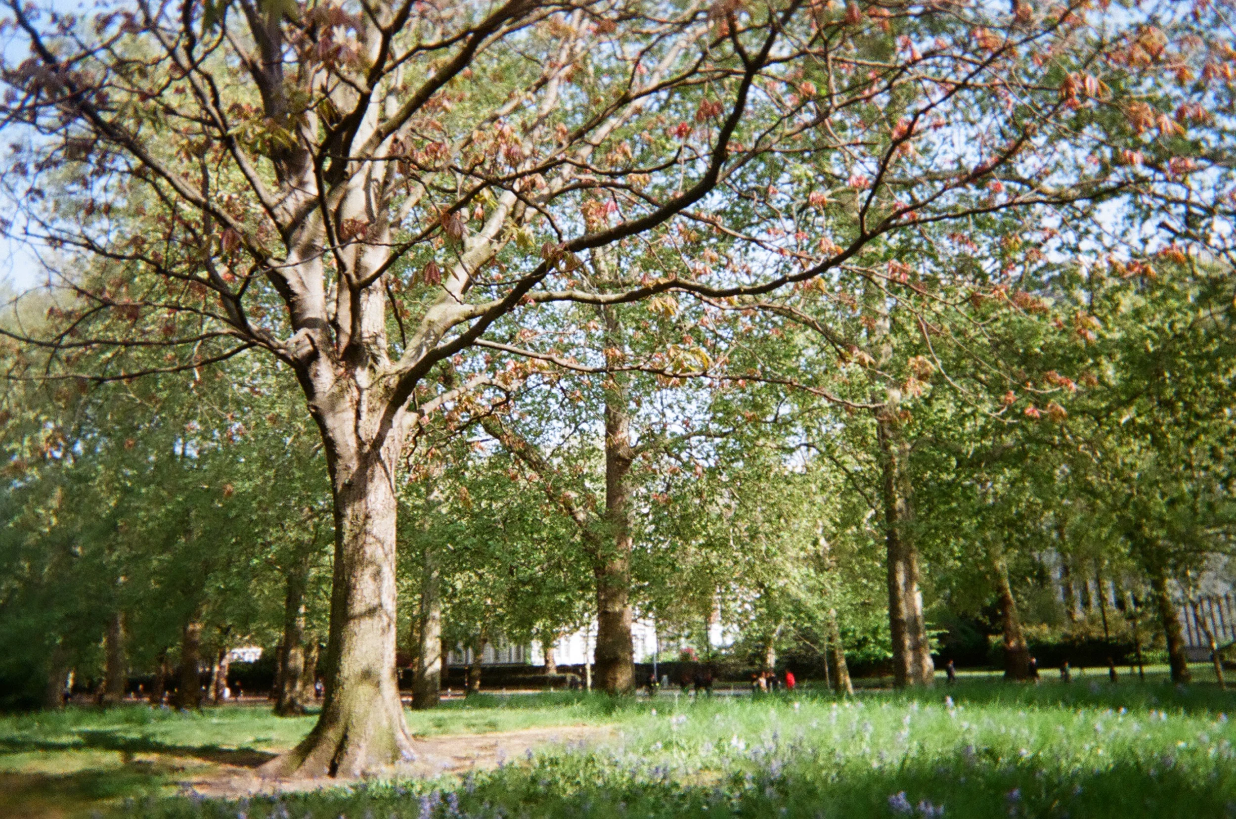  London stole my heart with our short day exploring castles, beautiful parks, churches and the cute alleyways.  Also eating the BEST PASTA&nbsp;  