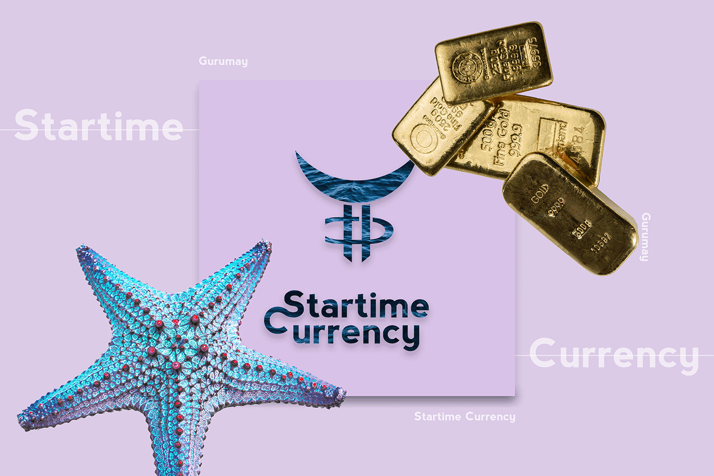 Gurumay-Startime-Currency-Web-Layout-GIF.gif