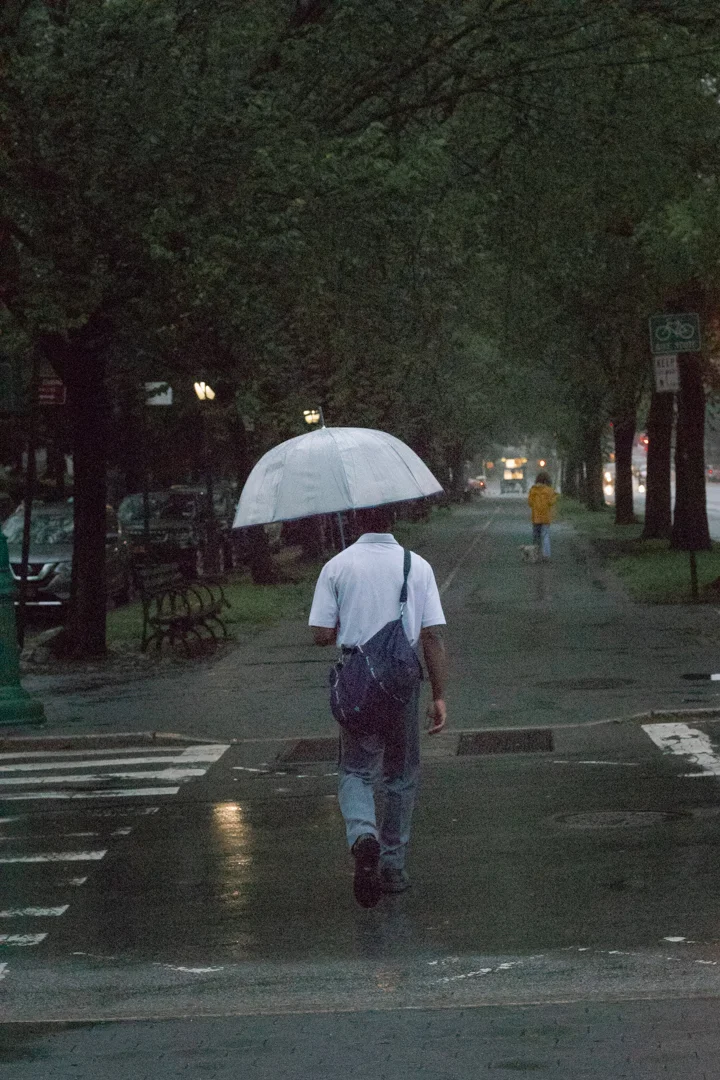 Rainy Day: A photography exploration.