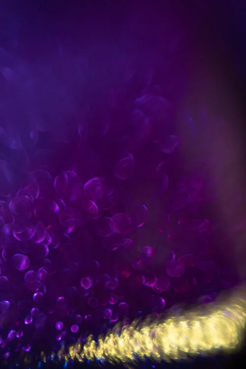 IMG_1482.jpg