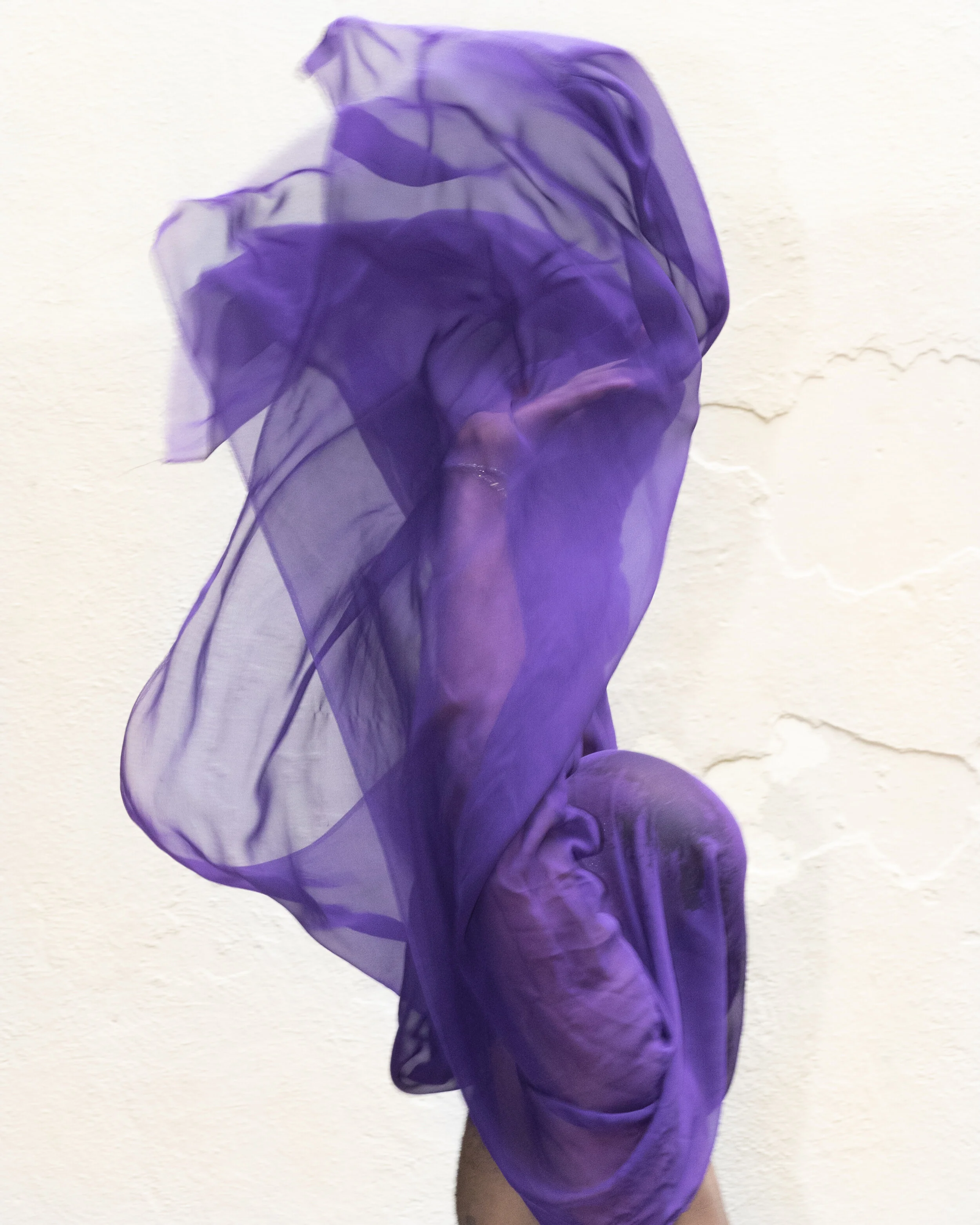 PURPLE PRIDE-5695.jpg
