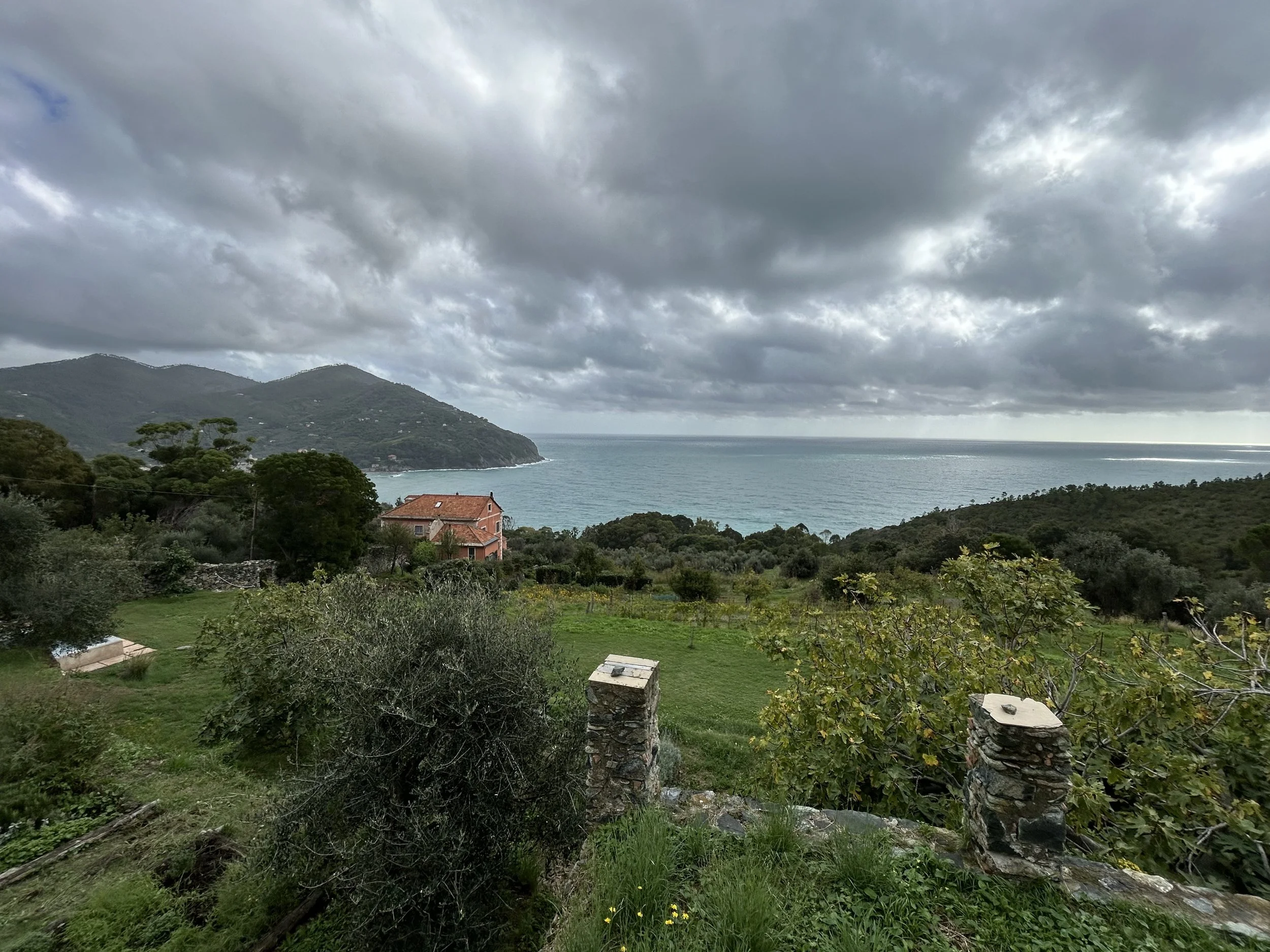 Levanto.jpg