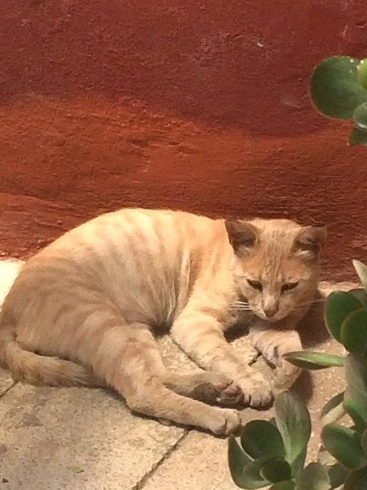 Crete 2016 5.jpg