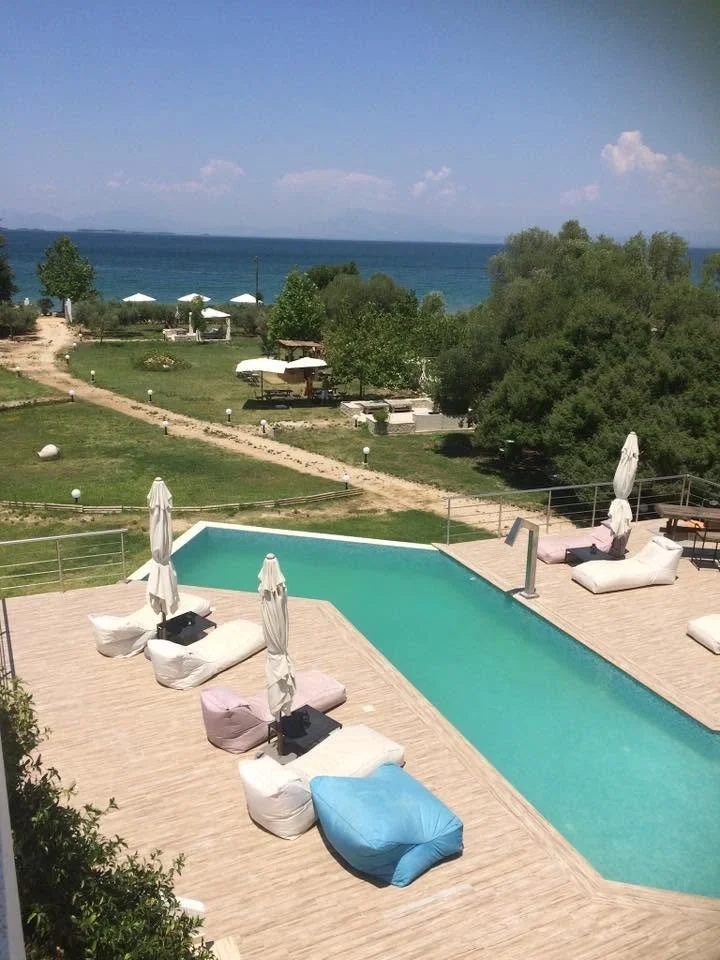 Dolphin Greece 2017 11.jpg