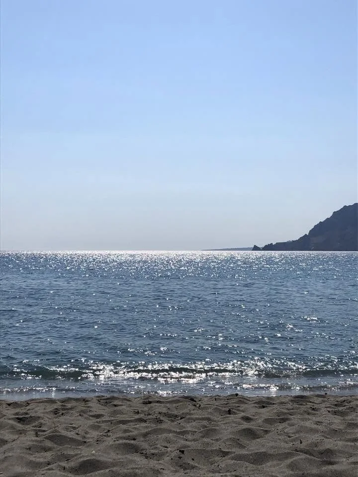 Dolphin Greece 2017 22.jpg