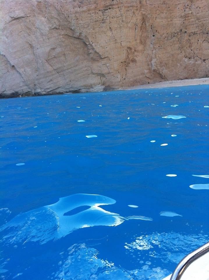 Zakynthos 2015 11.jpg