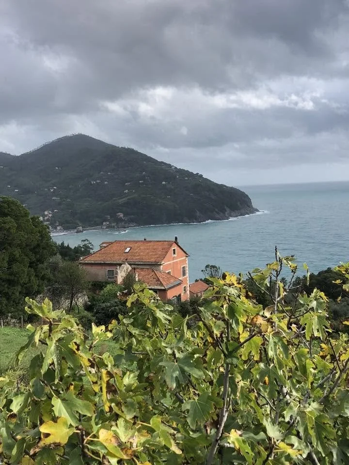 Levanto 2024 21.jpg
