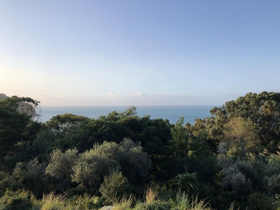 Levanto 2024 16.jpg