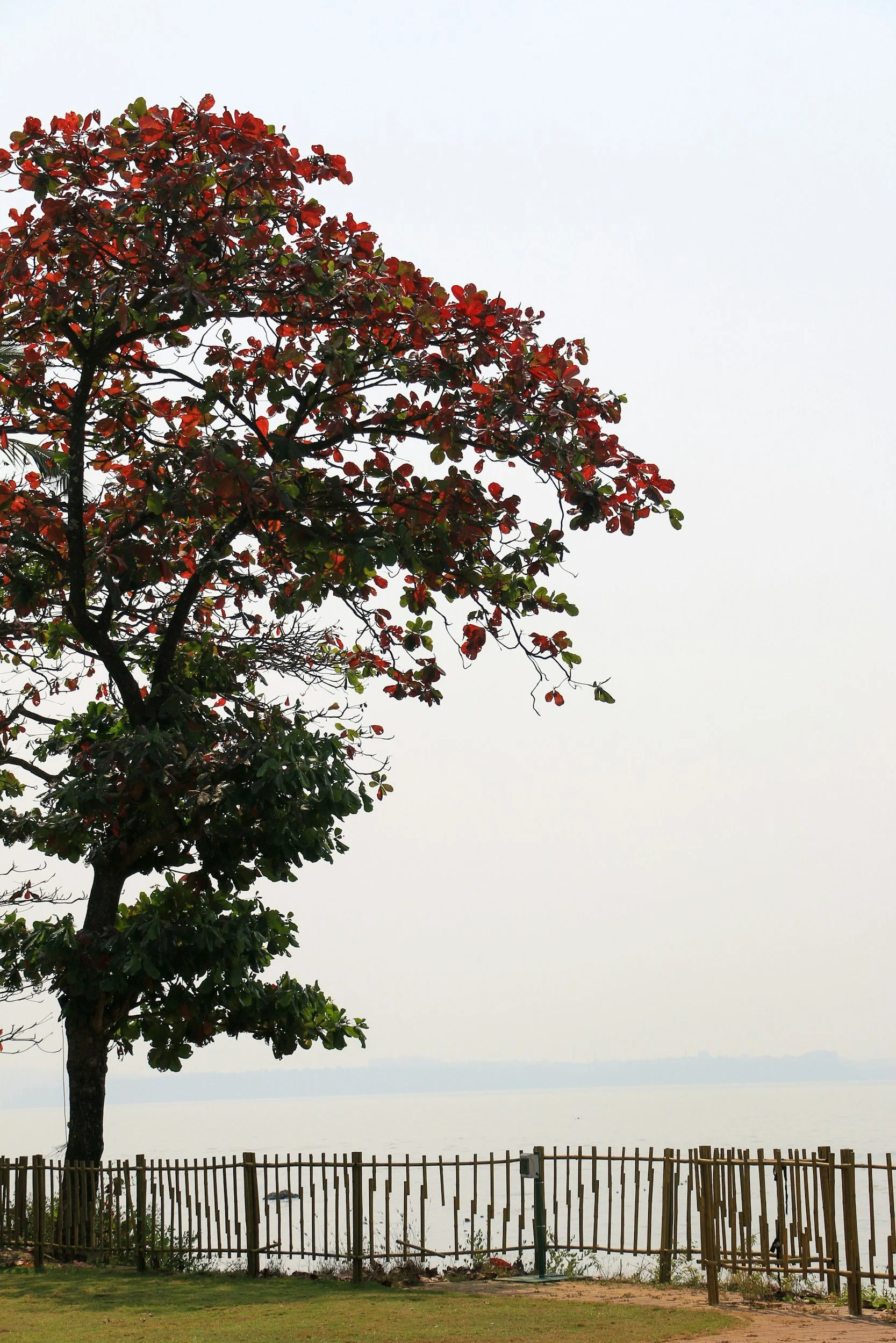 How to Deal with Difficult People: Psychological Strategies for Self-Validation, Boundaries, and Self-Care in Challenging Relationships