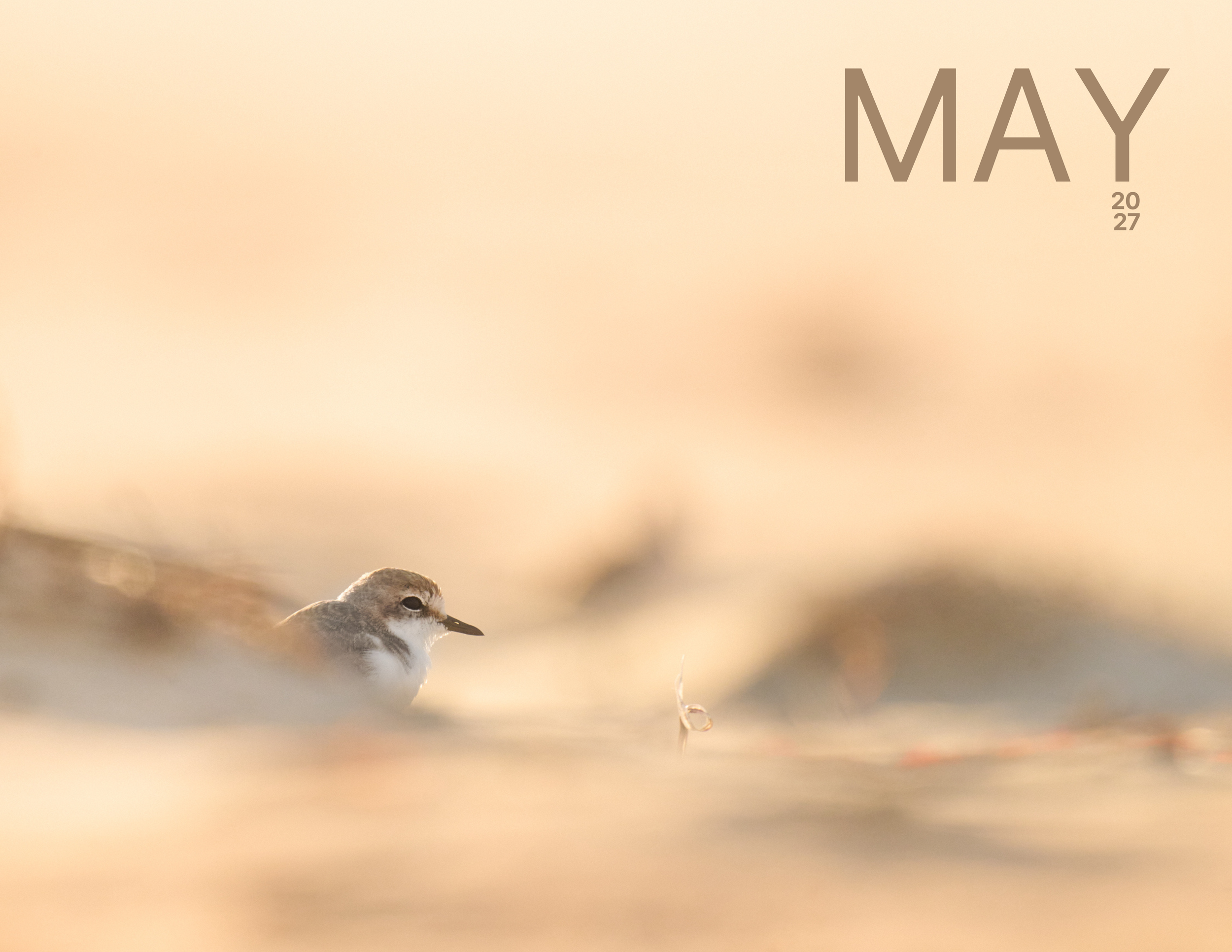May.png