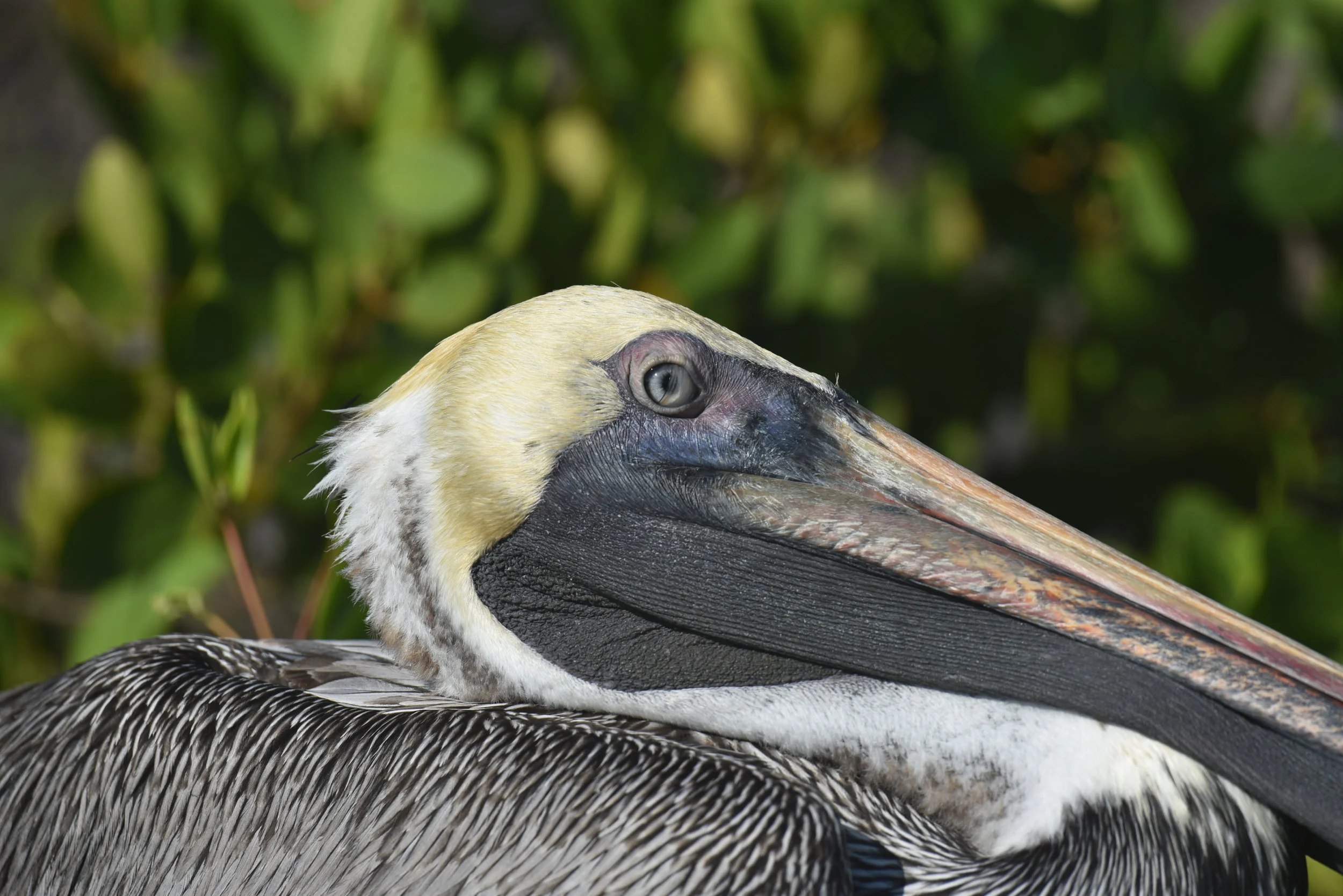 DSC_2752.JPG