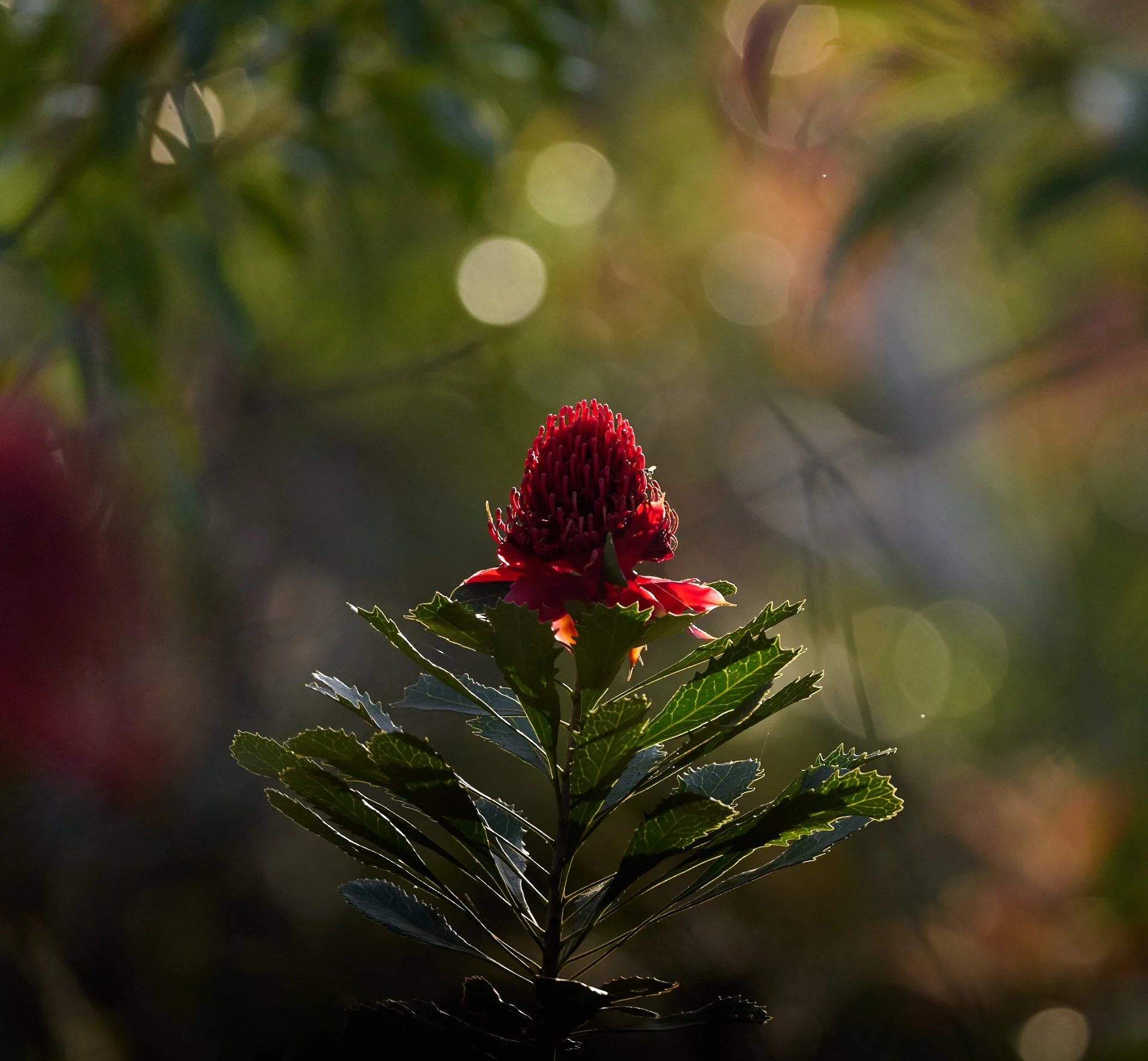 DSC_5740 1.jpg