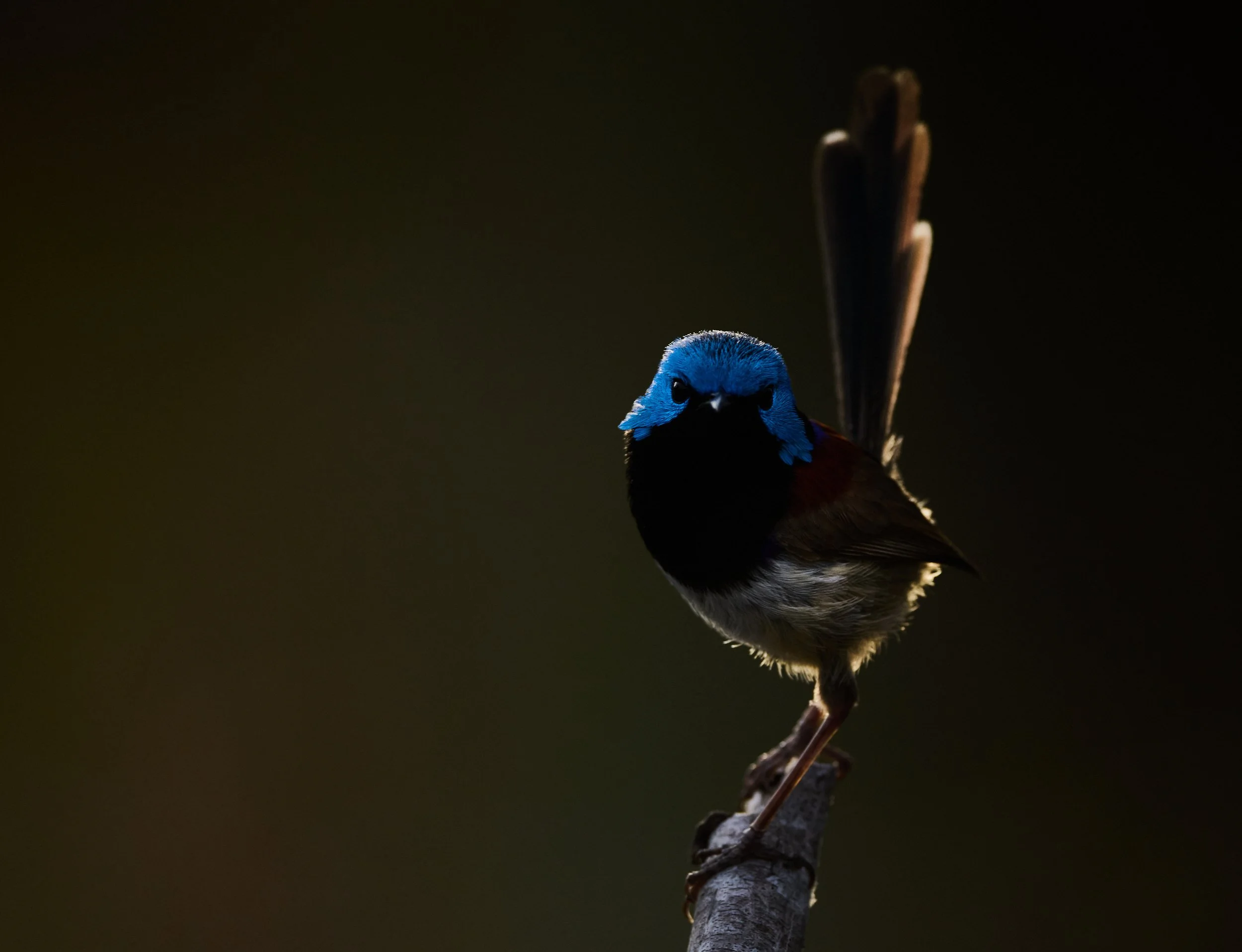 DSC_6672 3.jpg