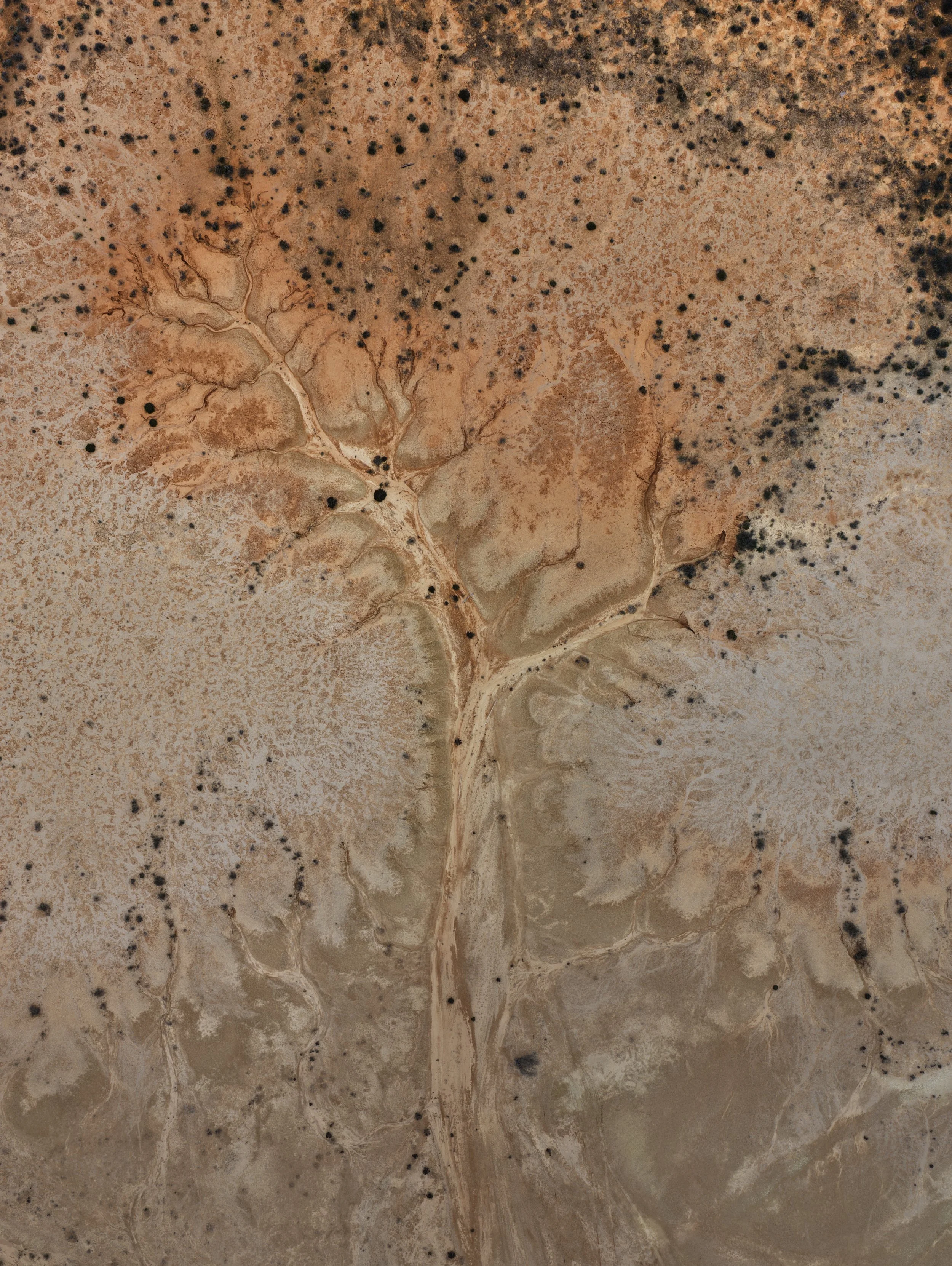 DJI_20250913192942_0127_D (2).jpg