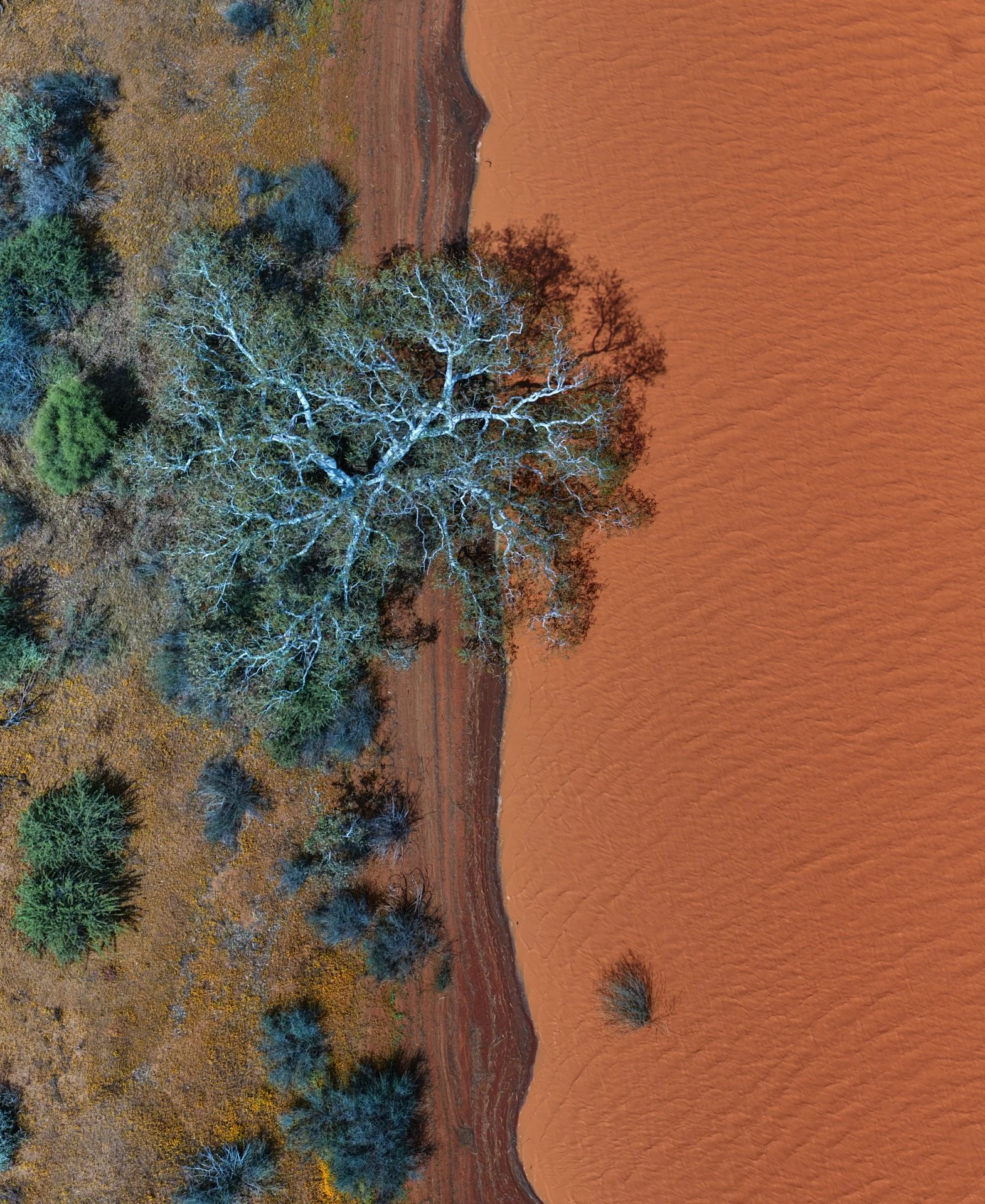 DJI_20250914163458_0143_D.jpg