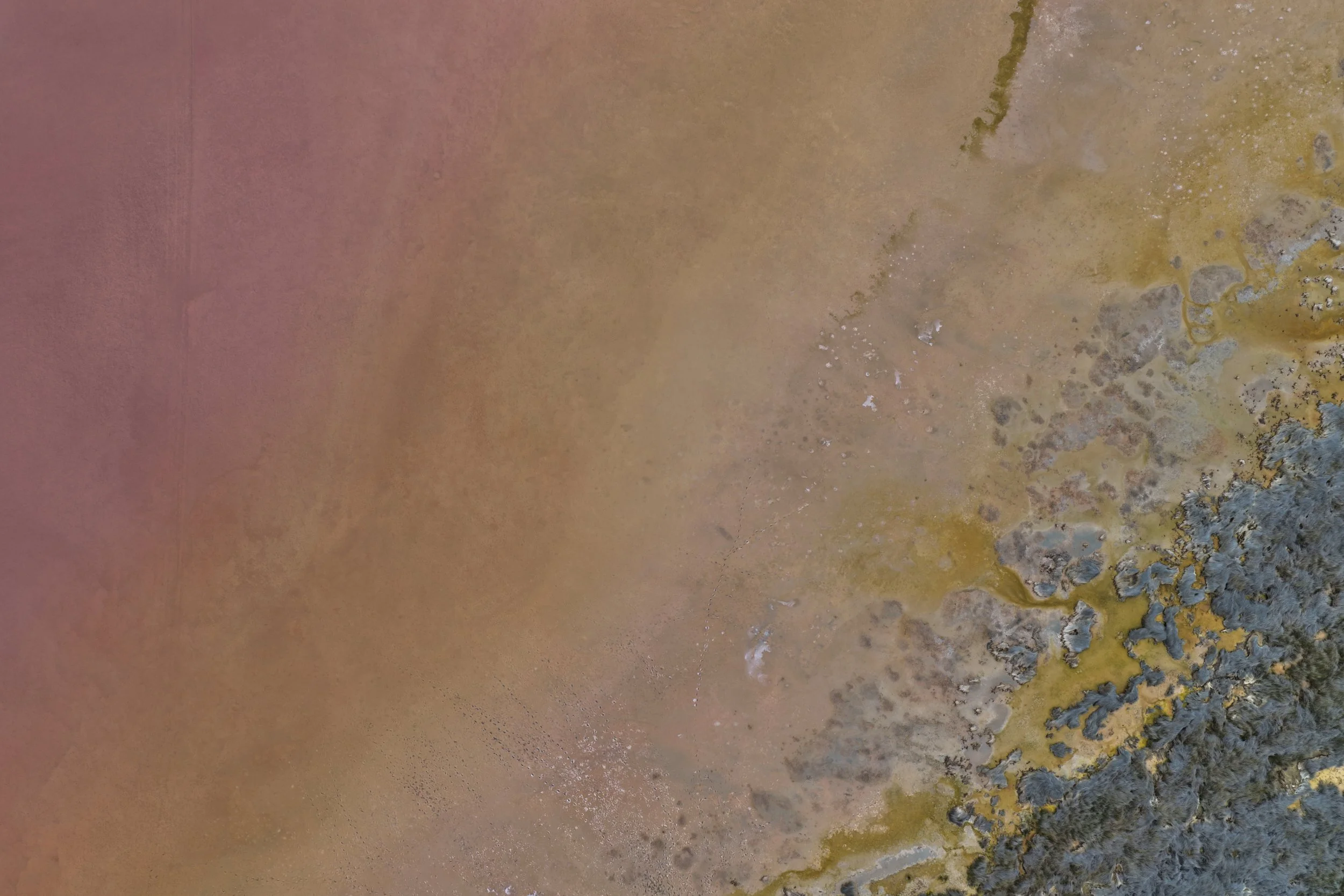 DJI_20250917151547_0276_D 3.jpg