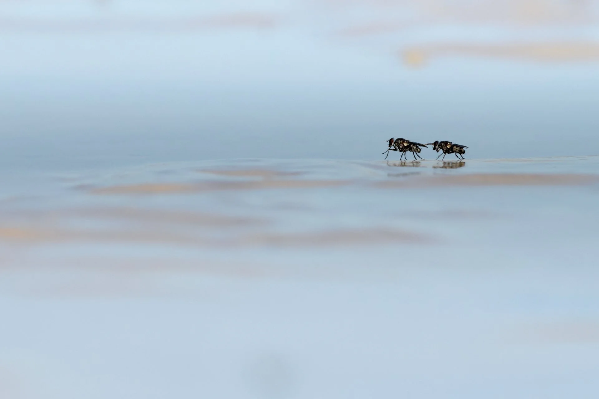 DSC_7322_4.jpg