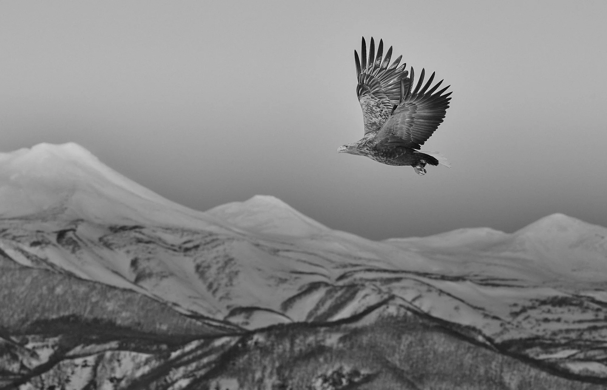 DSC_6971 4.jpg