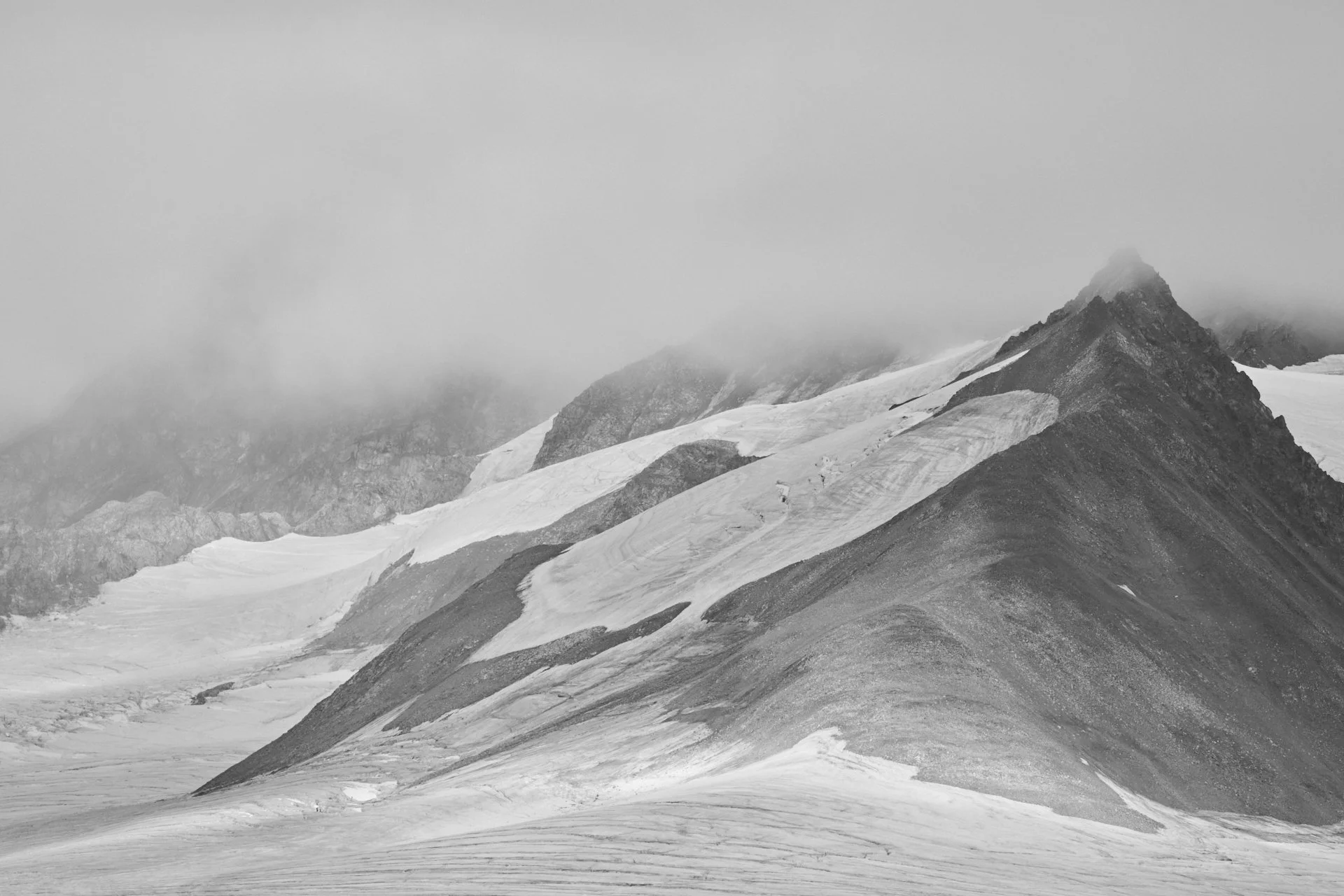 DSC_0345.jpg