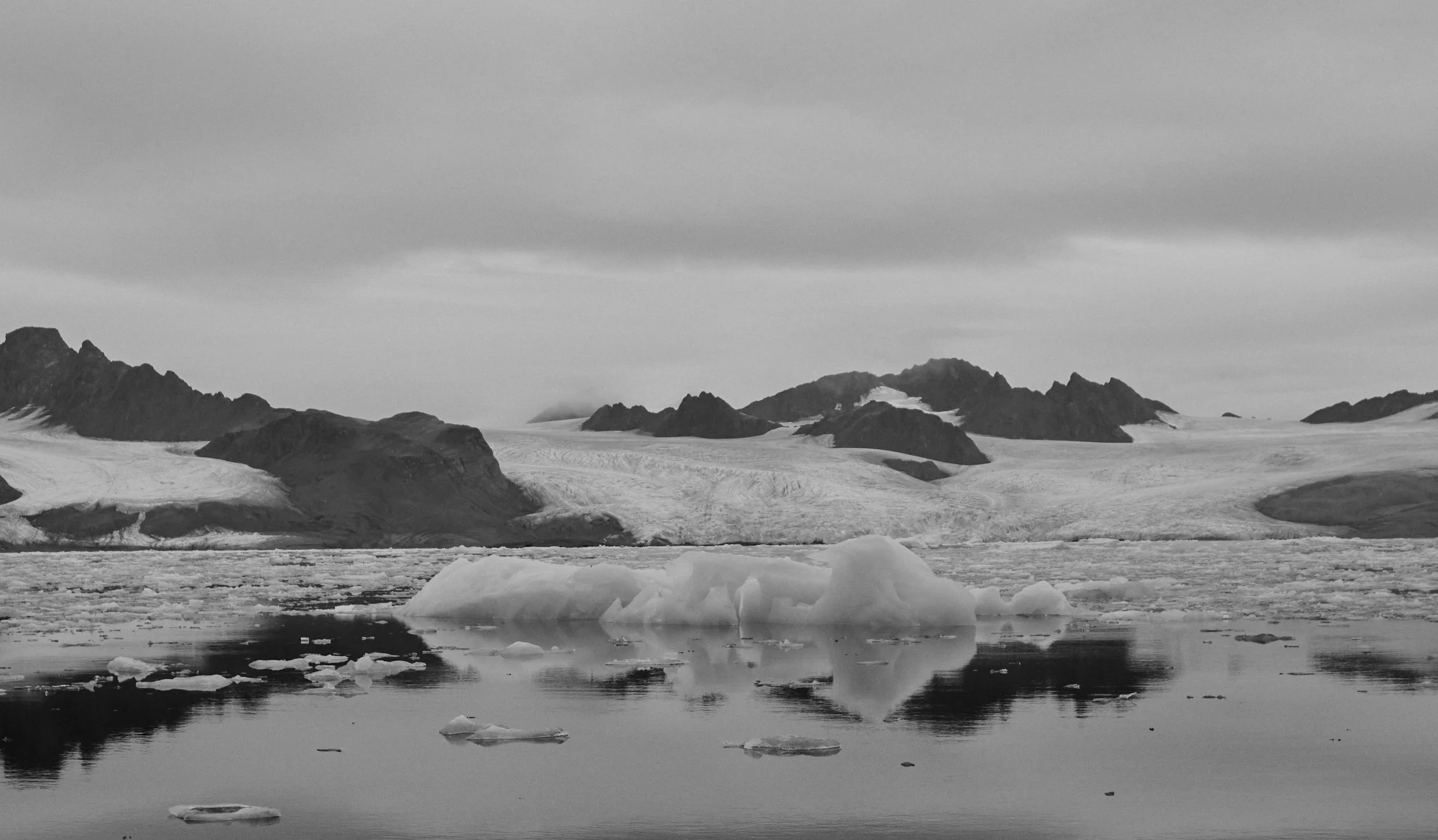 DSC_2288.jpg