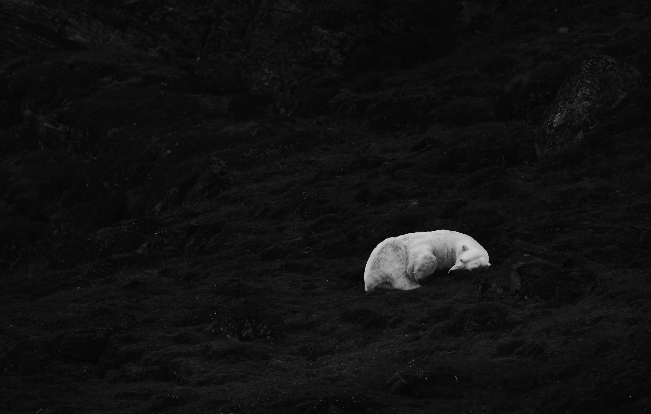 DSC_1592 4.jpg
