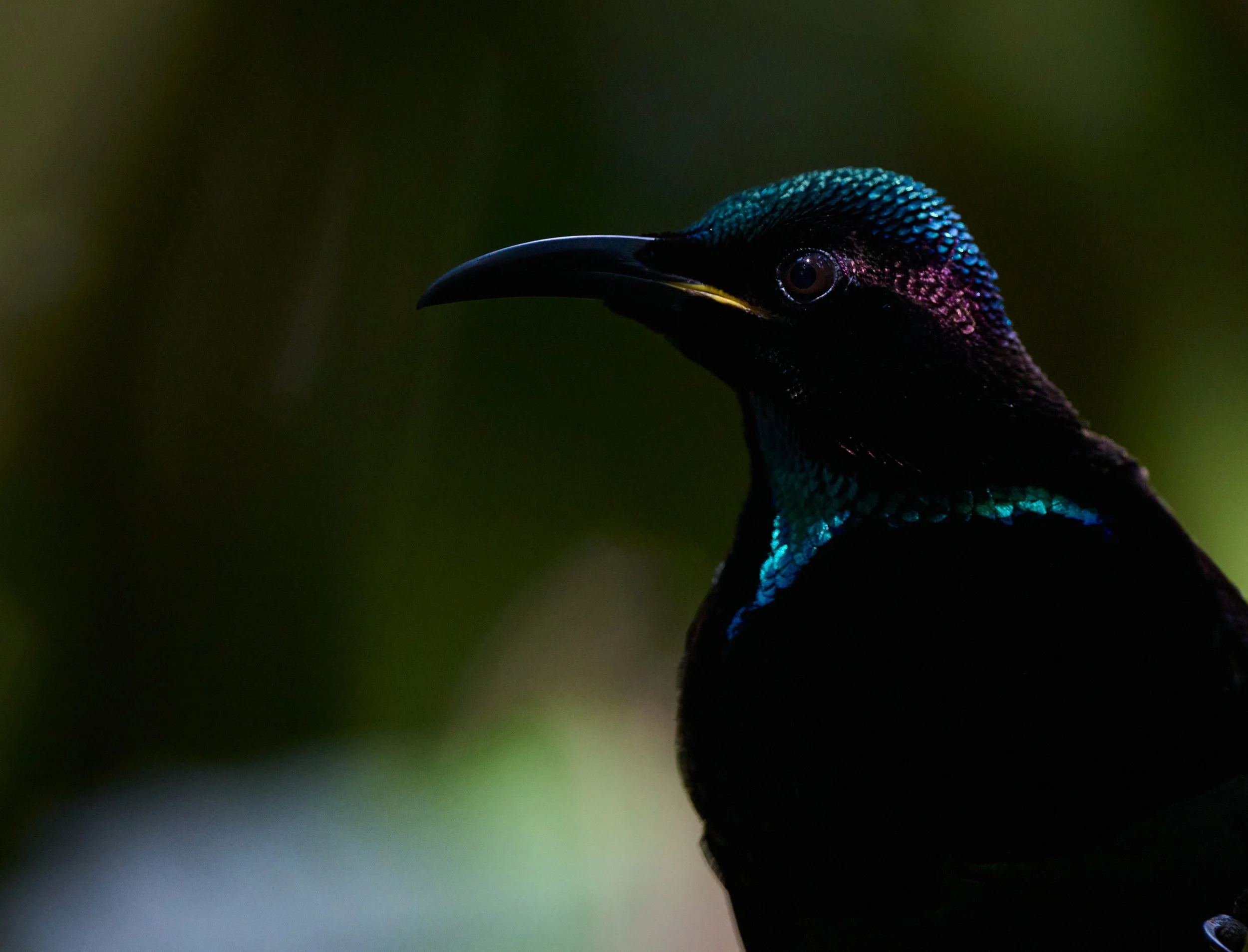 DSC_9278_1.jpg