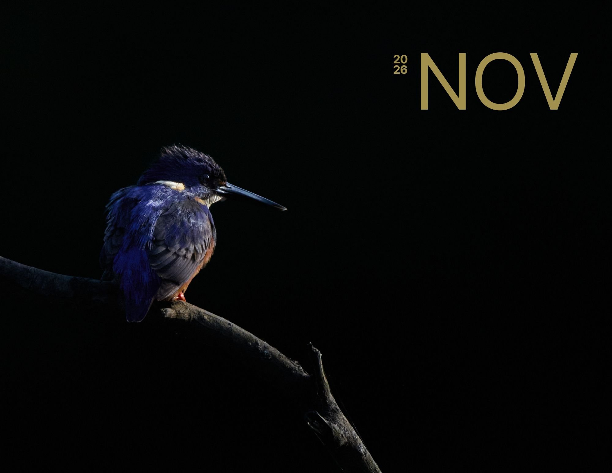 November.jpg