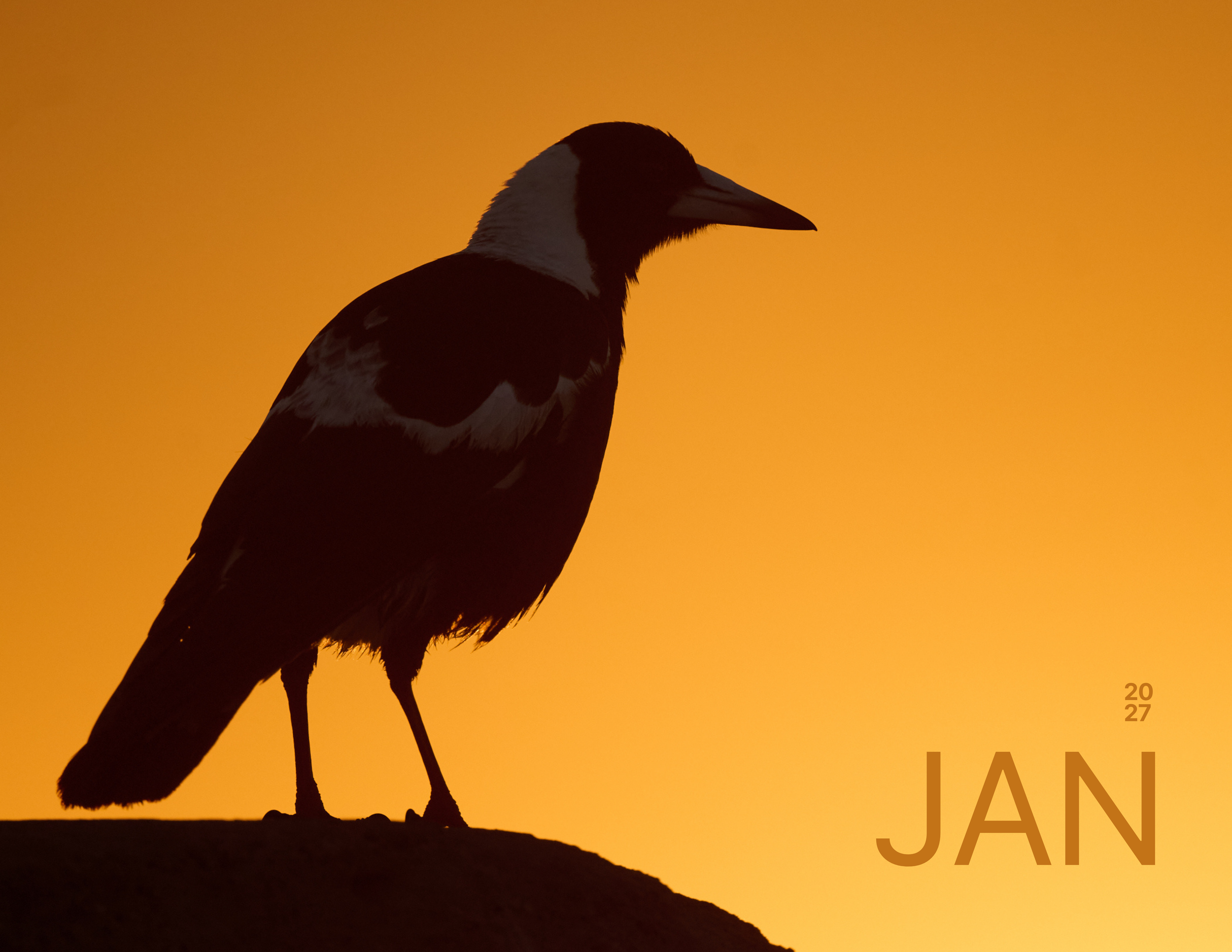 January.png