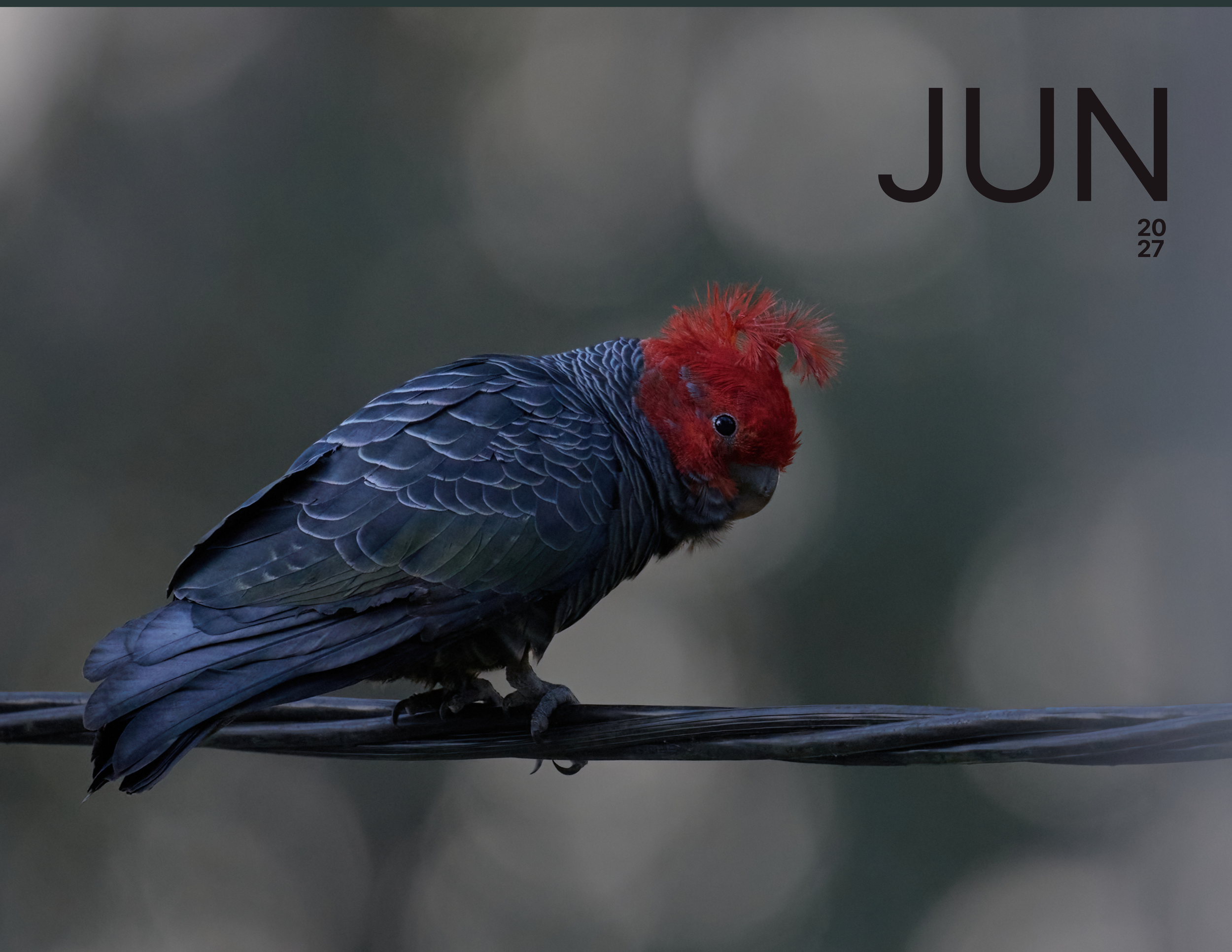 June.png