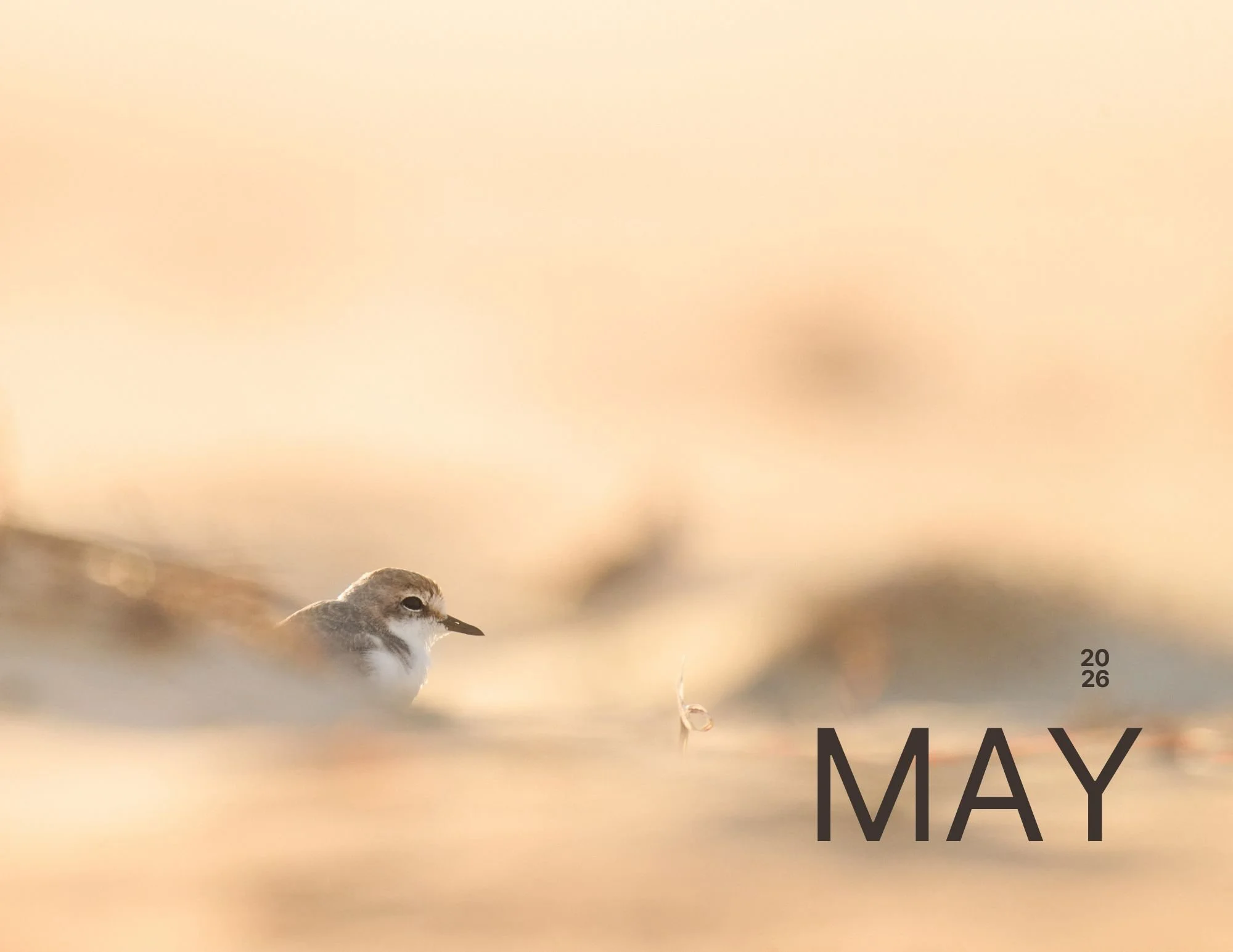 May.jpg