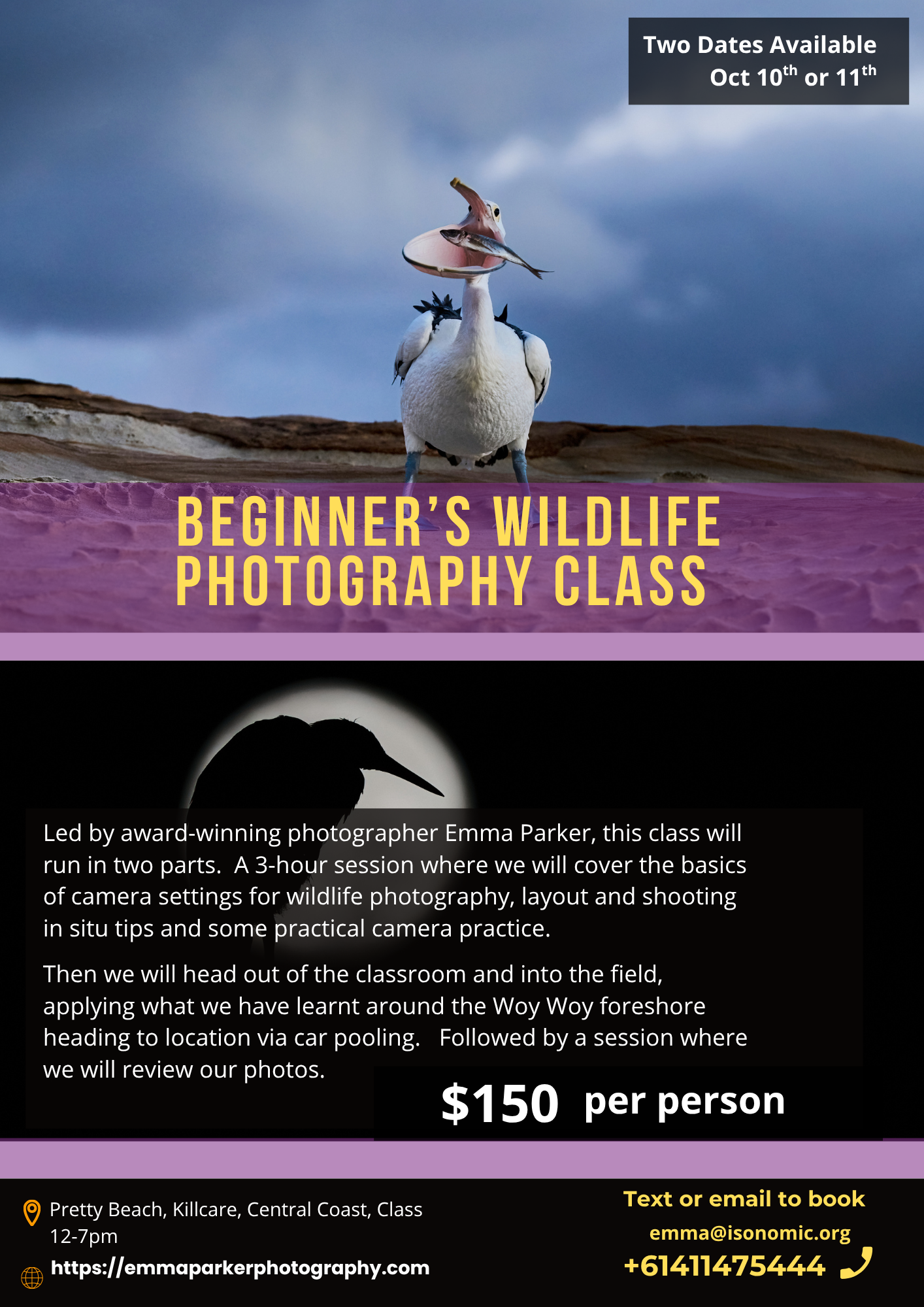 Beginners Wildlife Photography Workshop (SOLD OUT)