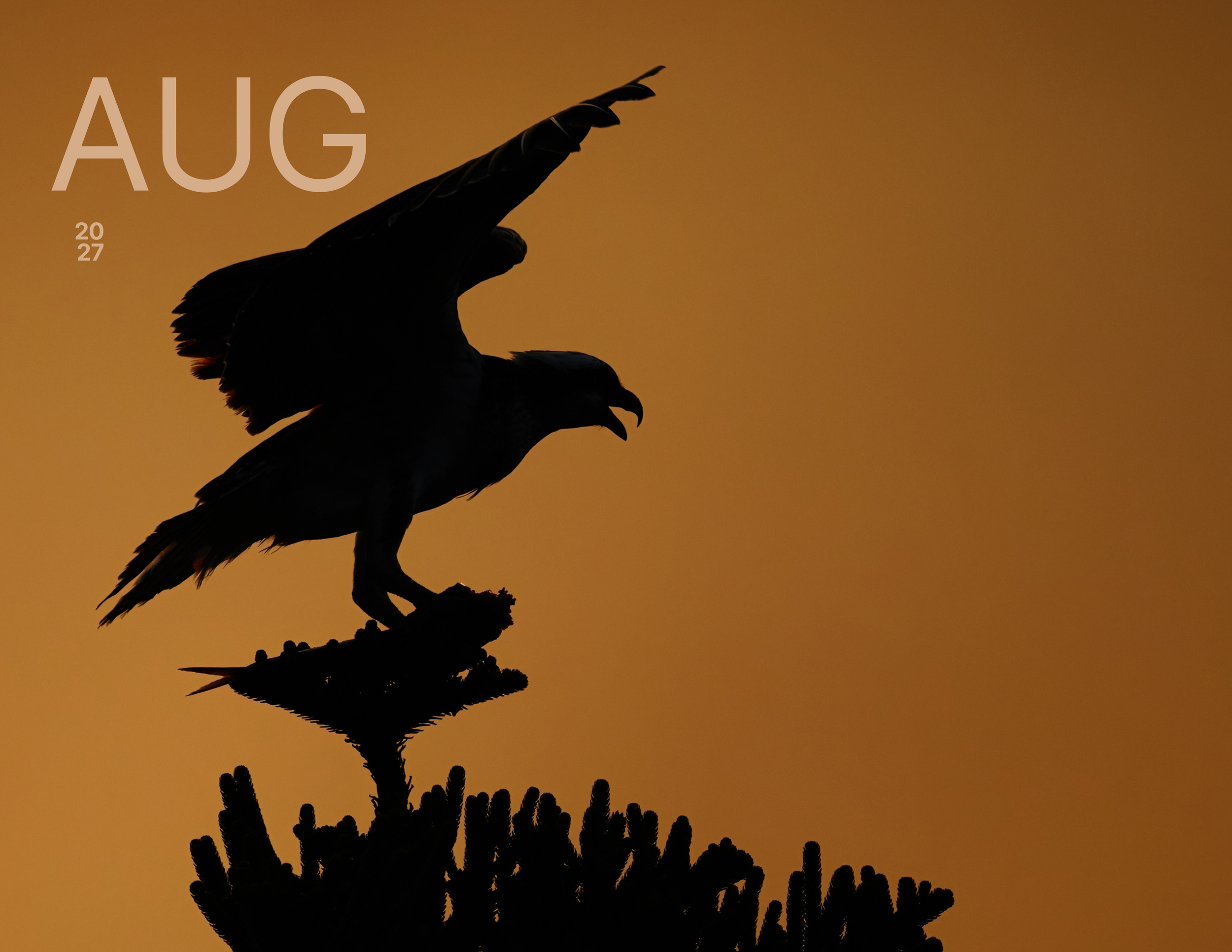 August.png
