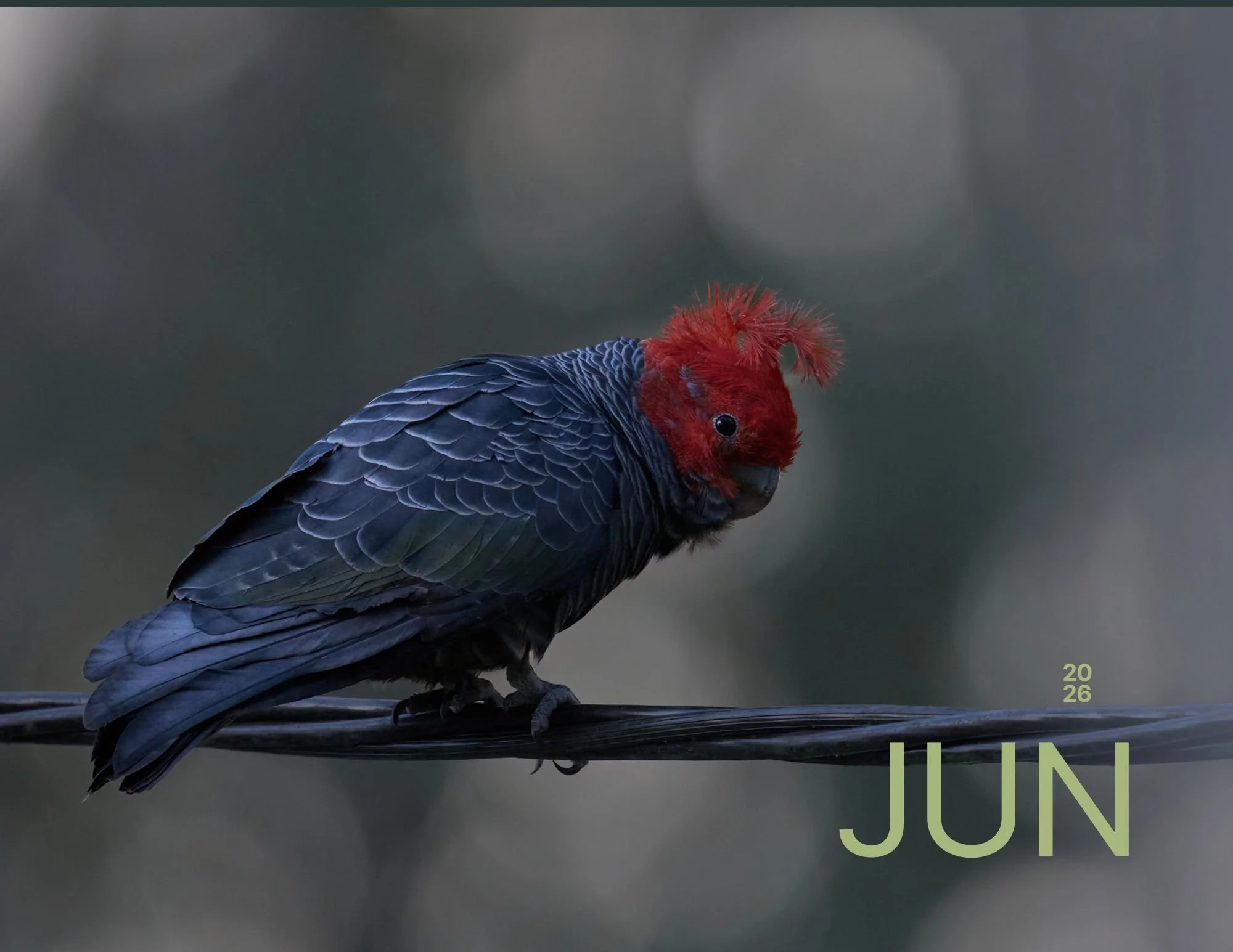 June.jpg