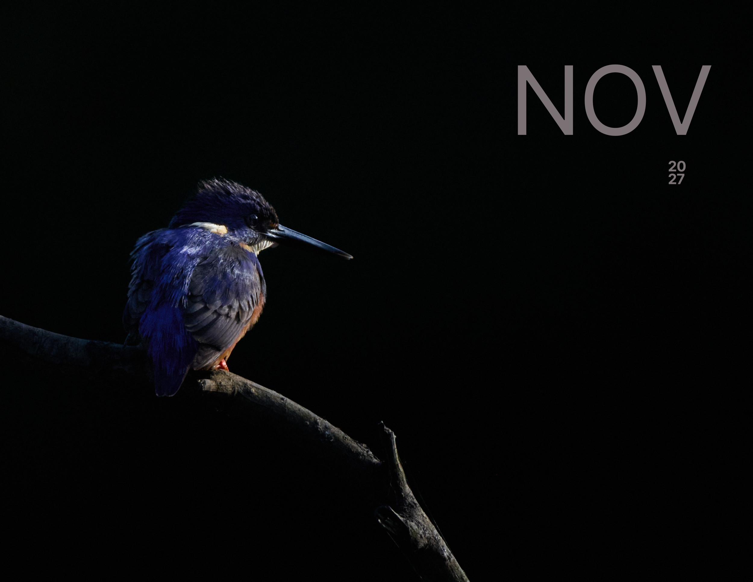 November.png