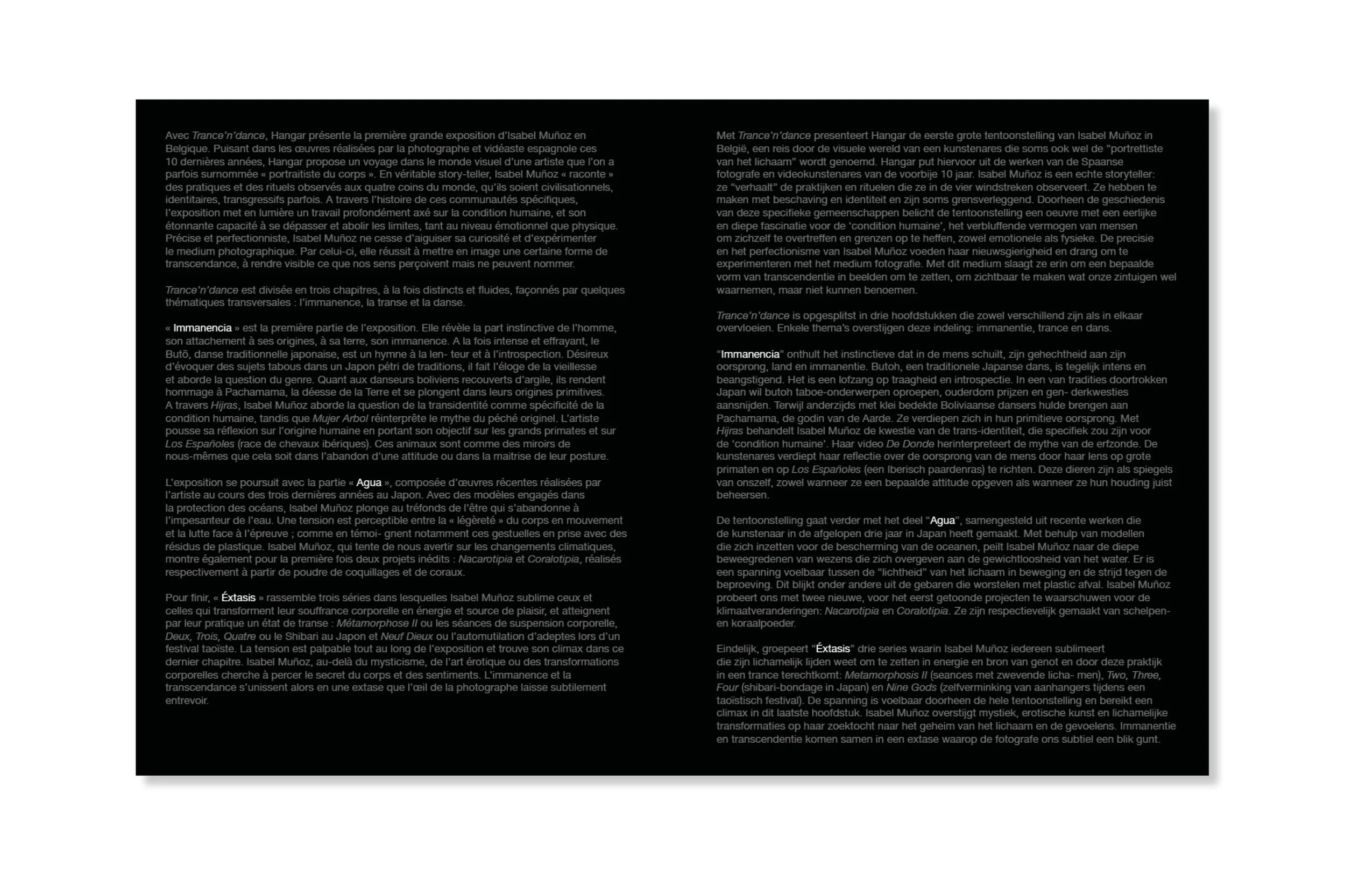 brochure Munoz 3.jpg