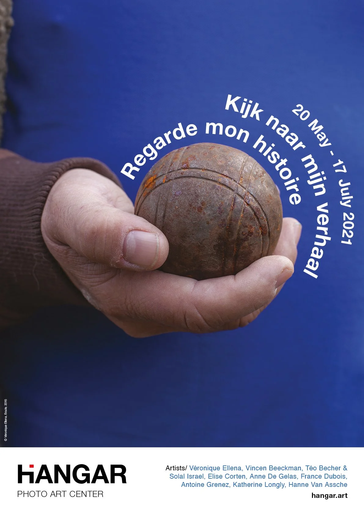 AfficheVE.jpg