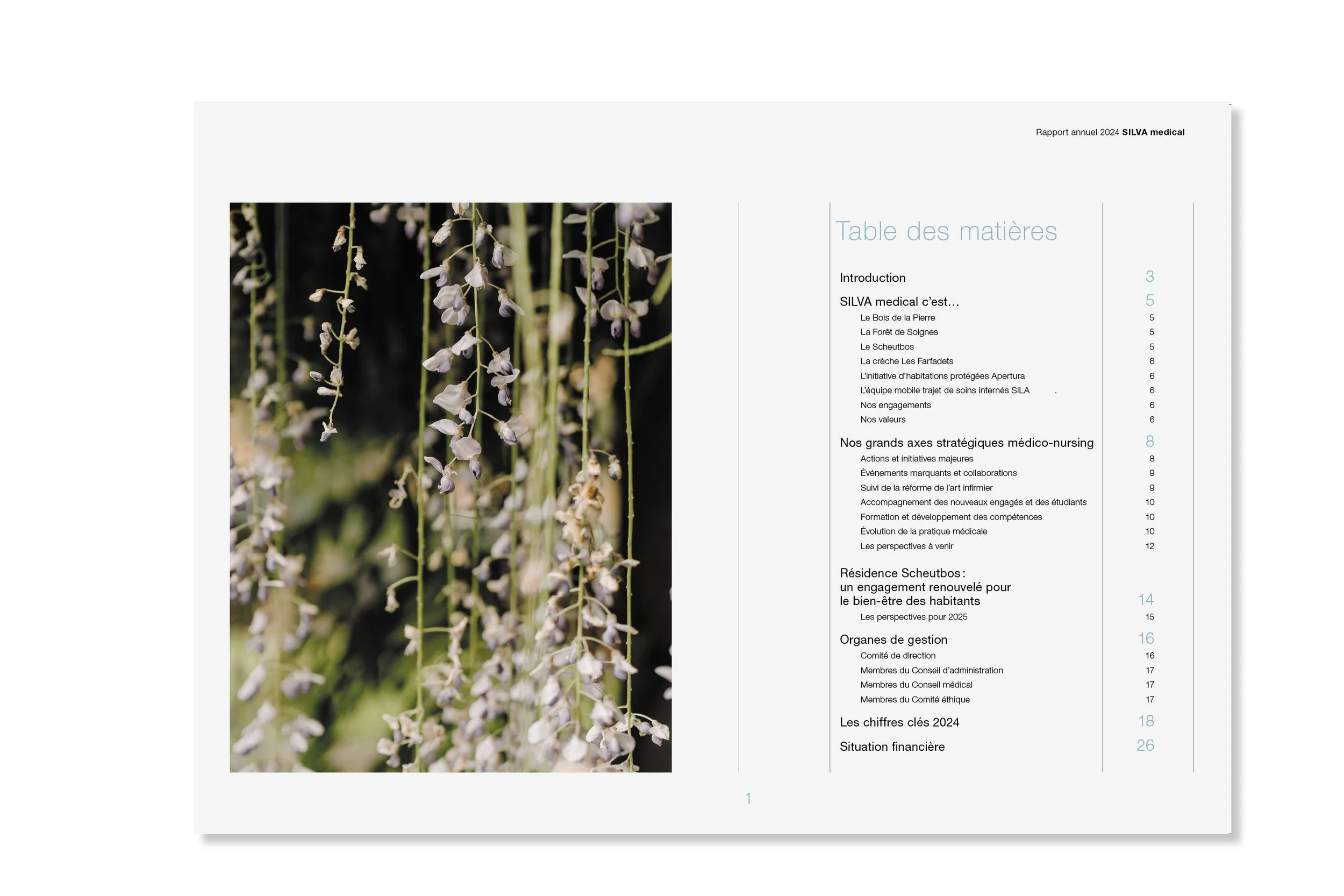 SILVA medical rapport annuel 242.jpg