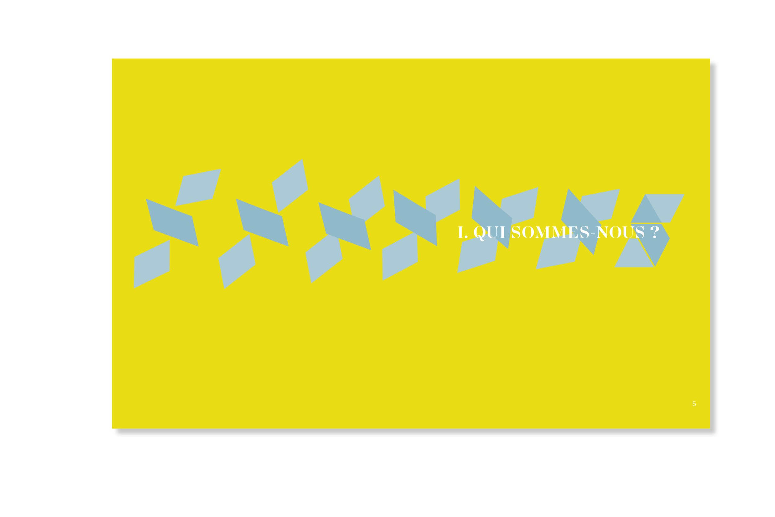 SILVA medical rapport annuel 234.jpg