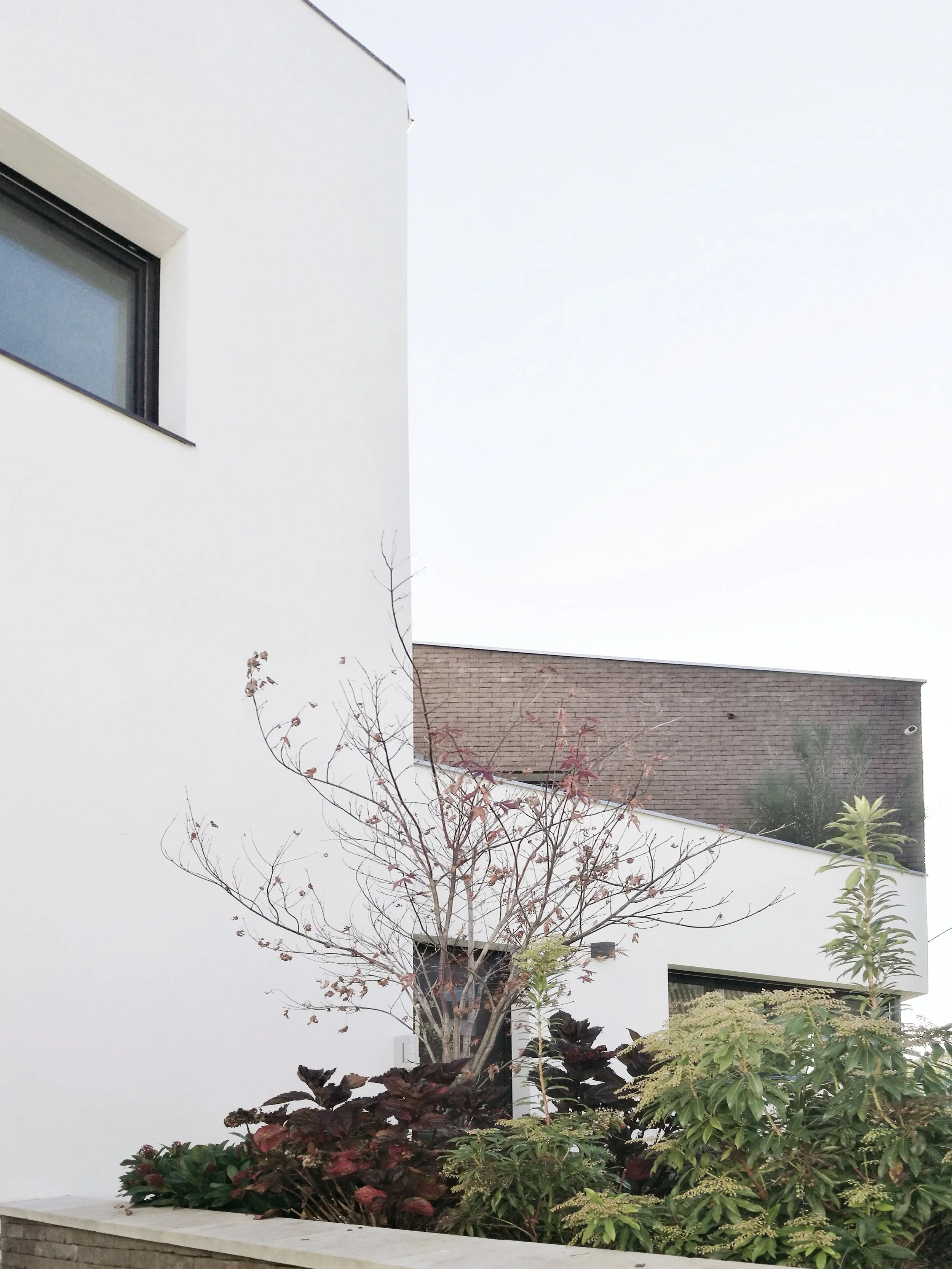 20-Photo facade détail 5.jpg