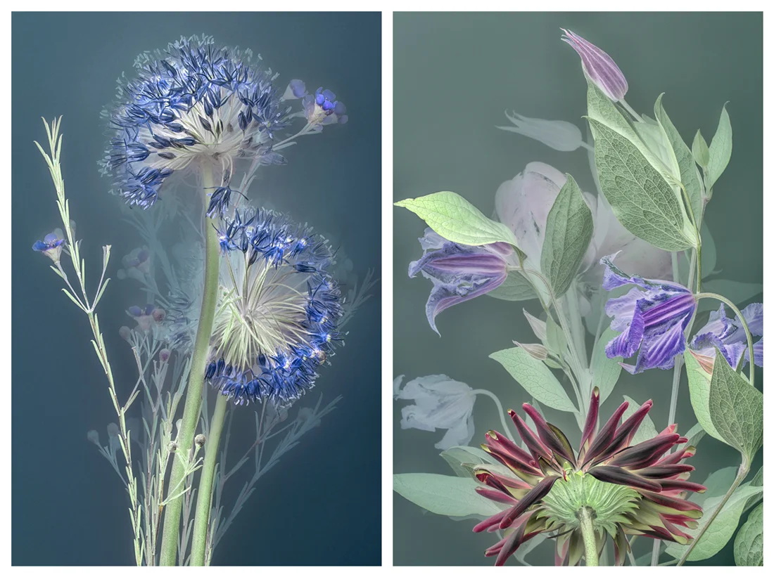 DK_Florilegium.jpg