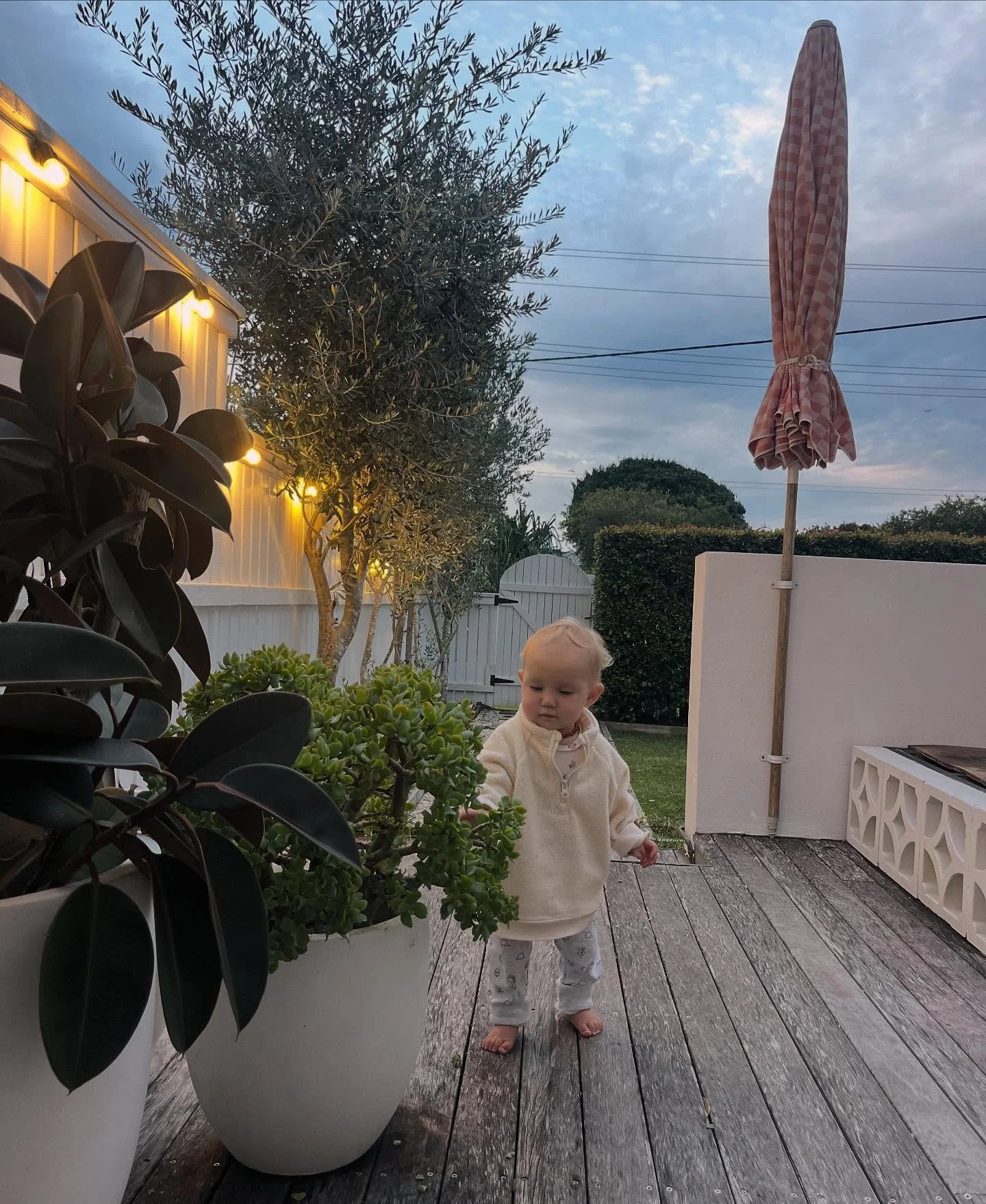 Holidays I see you! #holidays #cuteguests #airbnb #beachhouse #beachcottage #cabaritabeach #petfriendly #visitthetweed #howzitstays #howzit