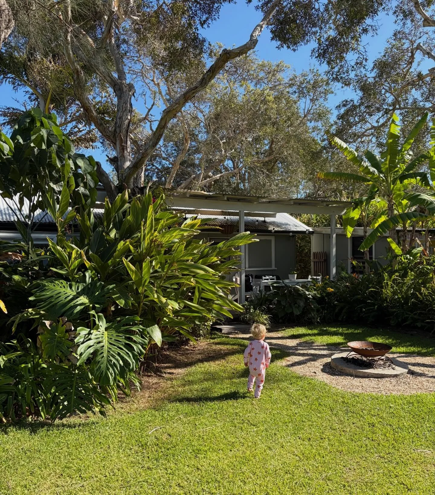 So much to see and do when staying at The Mullaway Cabins (pictured - 7th Heaven) 

Explore the grounds
Head down the bush track to Cabins Beach
Walk the boardwalk over to Mullaway Headland and beach
Pop up to @mullawaystore for a coffee or hot chips