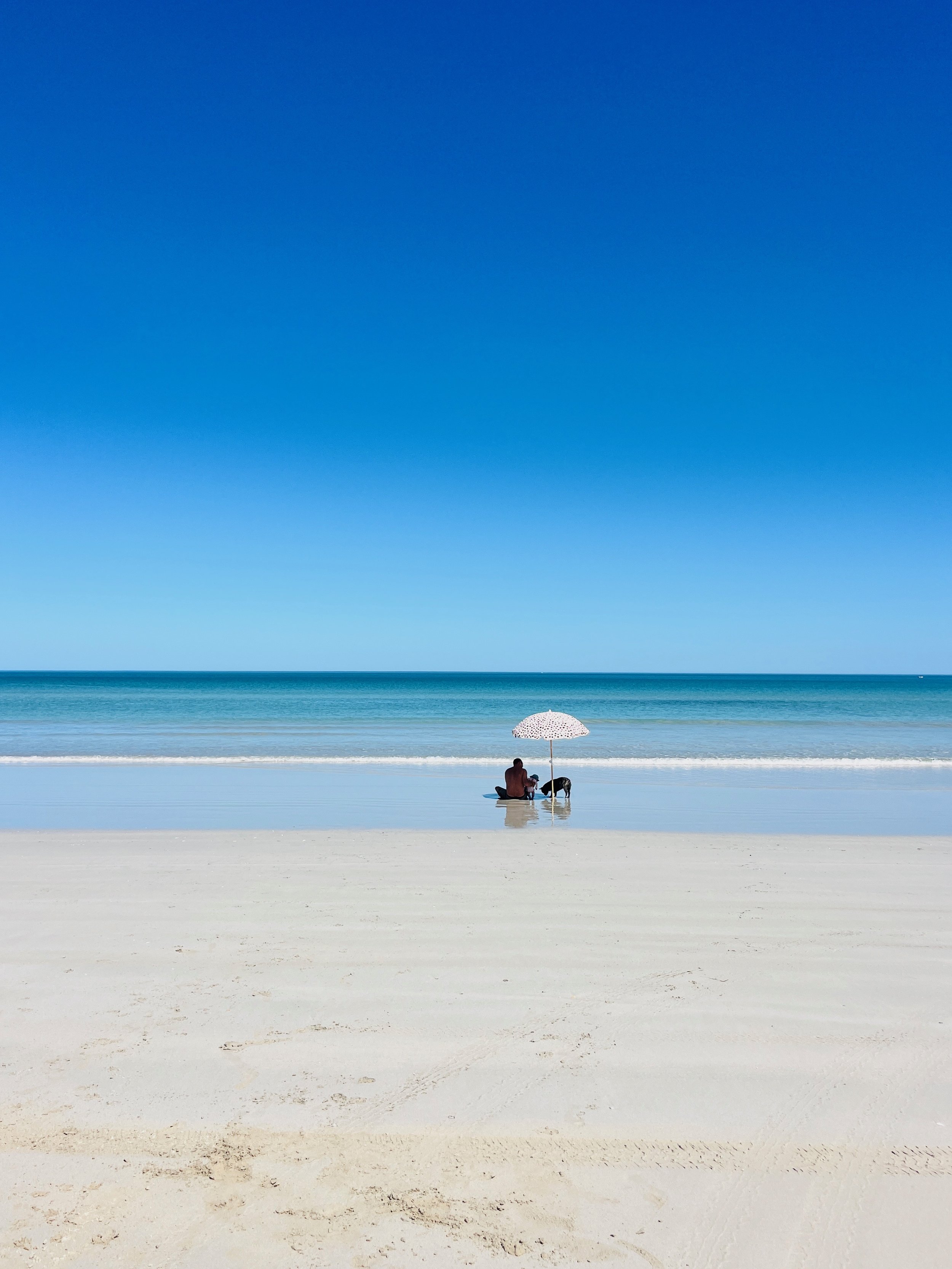 Person and dog sitting on the sandy beach under a white umbrella at Mullaway Beach, a pet-friendly coastal holiday destination with clear blue sky and calm ocean, perfect for a relaxing getaway