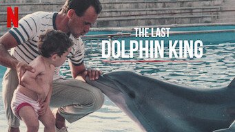 The-Last-Dolphin-King-2022 English translator.jpeg