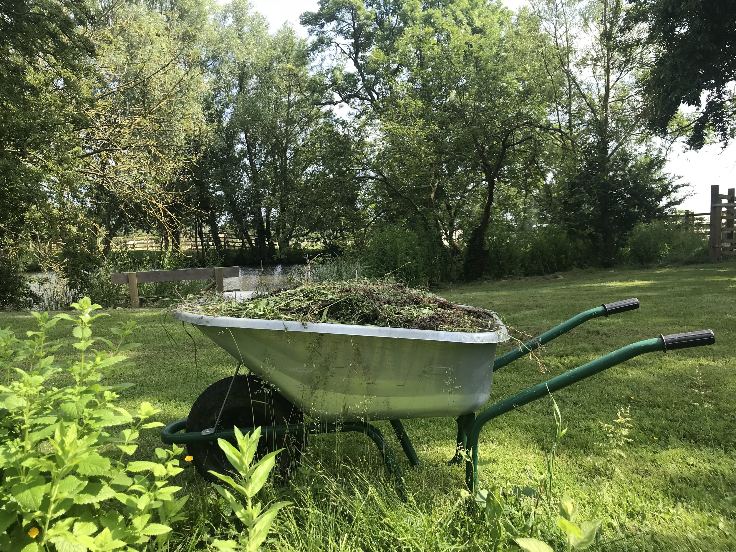 wheelbarrow&pond.JPG