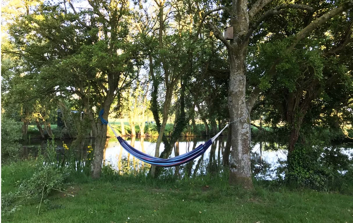 (FarmLife)hammock.jpg